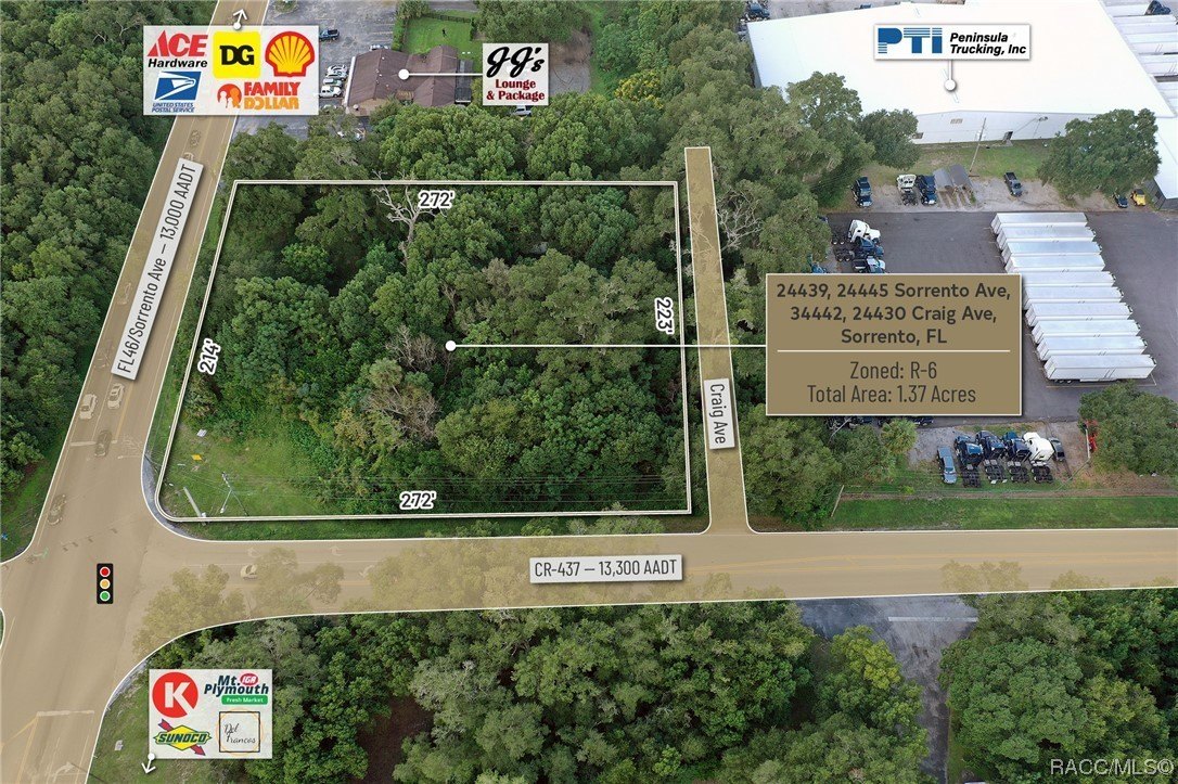 24439 Sorrento Avenue, Mount Dora, Florida, 32776, United States, ,Residential,For Sale,24439 Sorrento Avenue,1348352