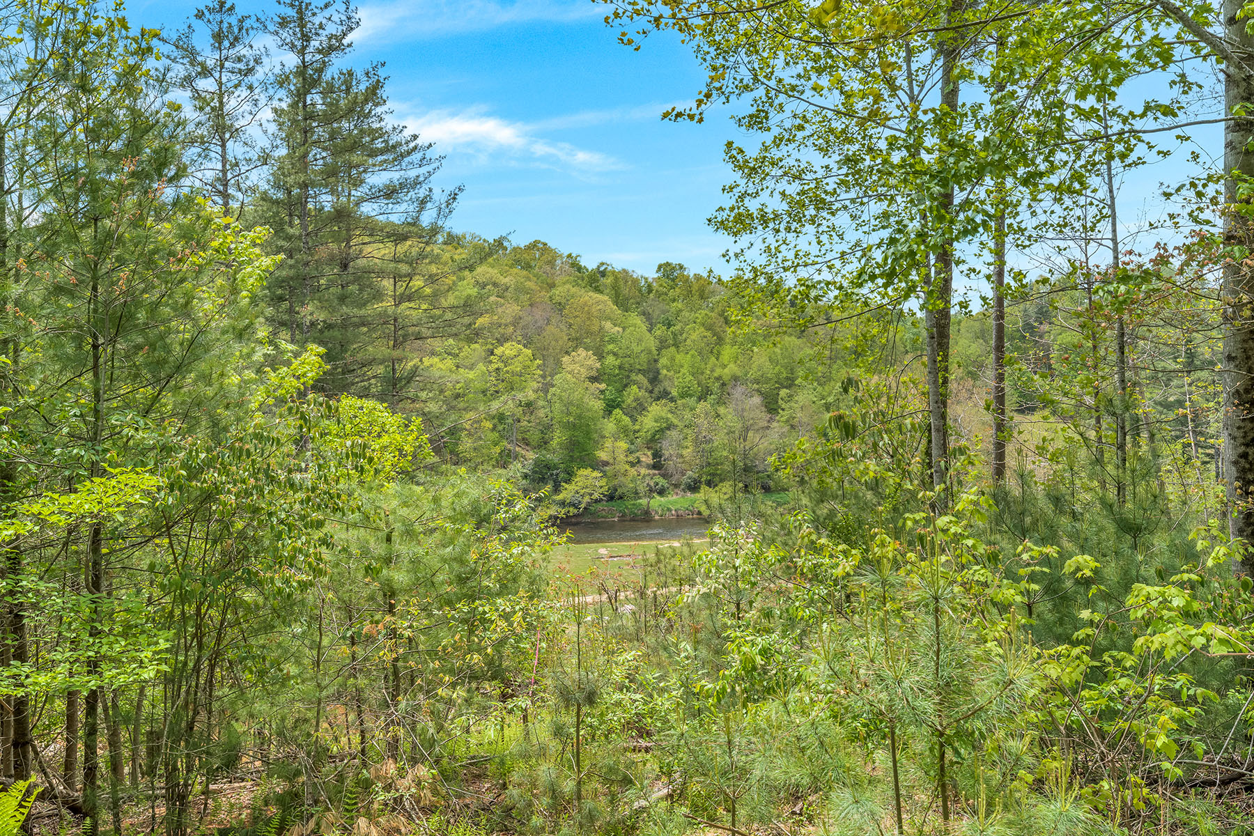  BLUE RIDGE MANOR - WEST JEFFERSON - 物件實景