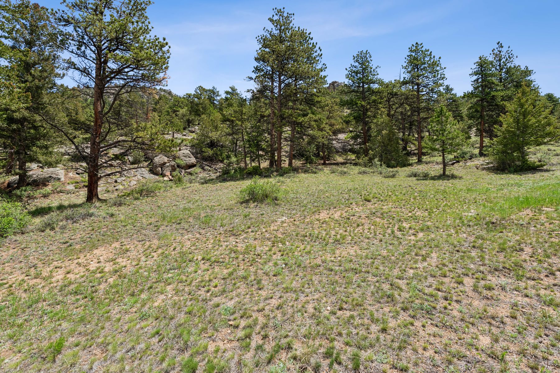  Exclusive Opportunity in Estes Park - 21.78 Acres in Uplands at Fish Creek - 物件實景