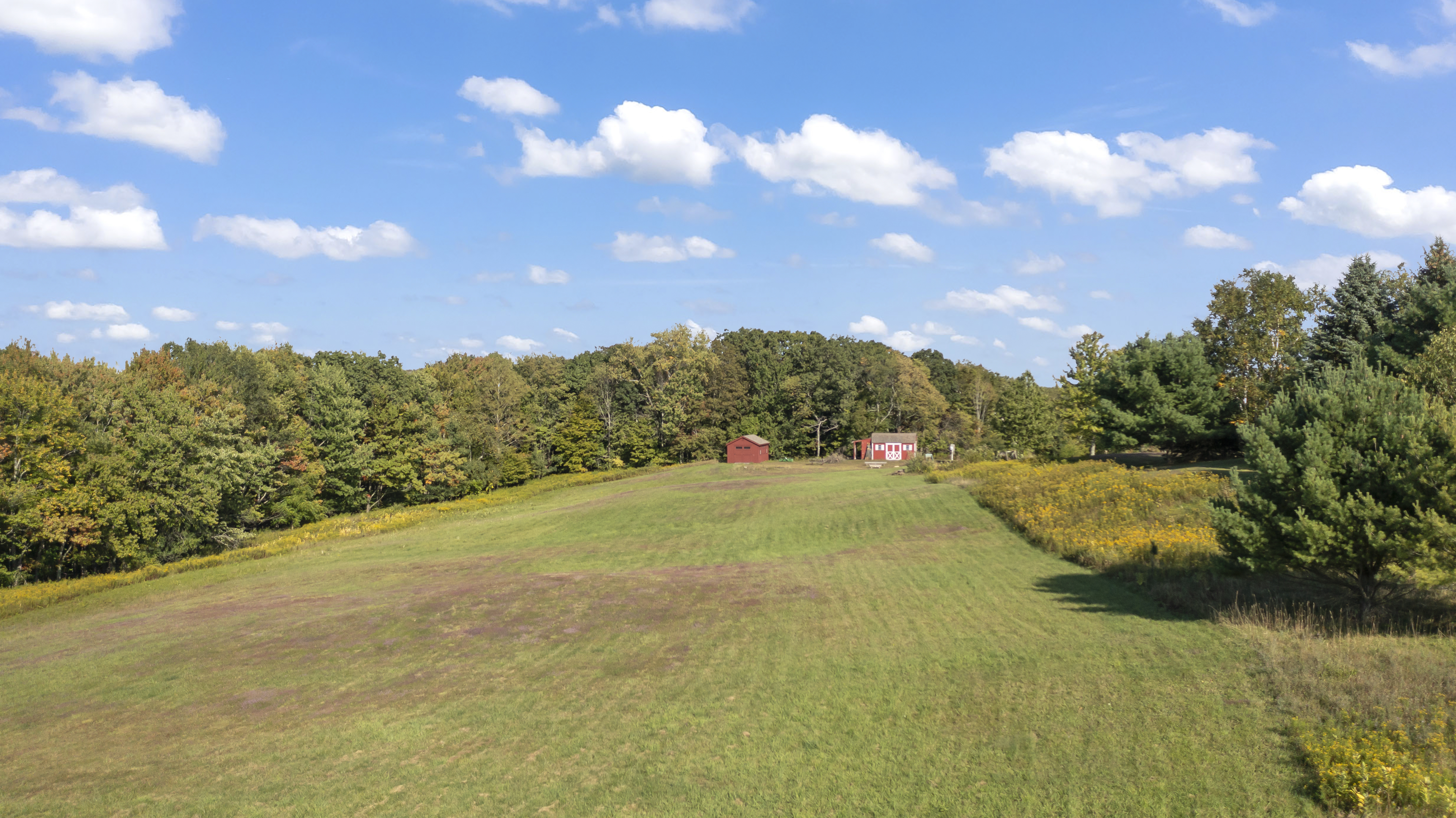 388 Maple Drive, East Chatham, NY 12060 - 物件實景