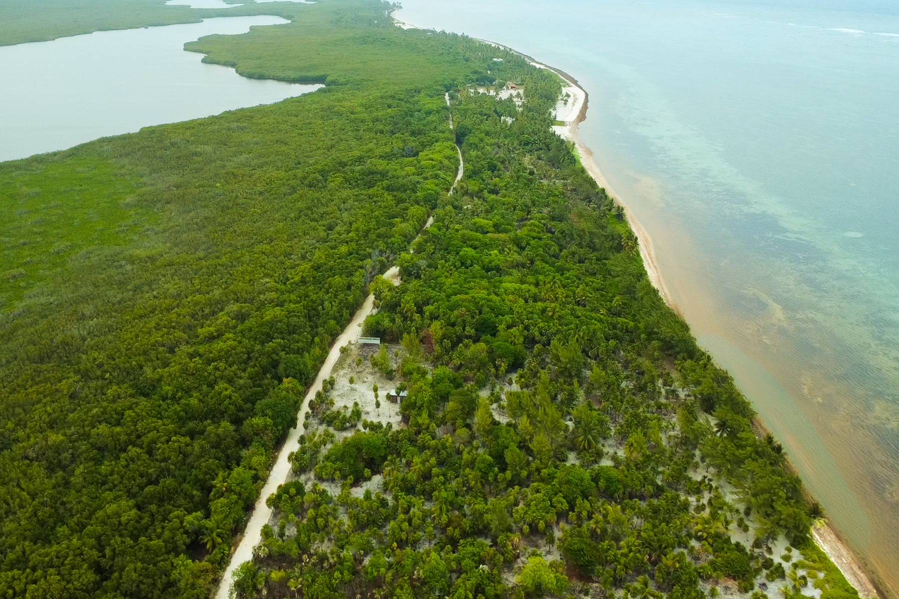  Viridiana Reserve: Beachfront Macro-lot in a Prime Location - 物件實景