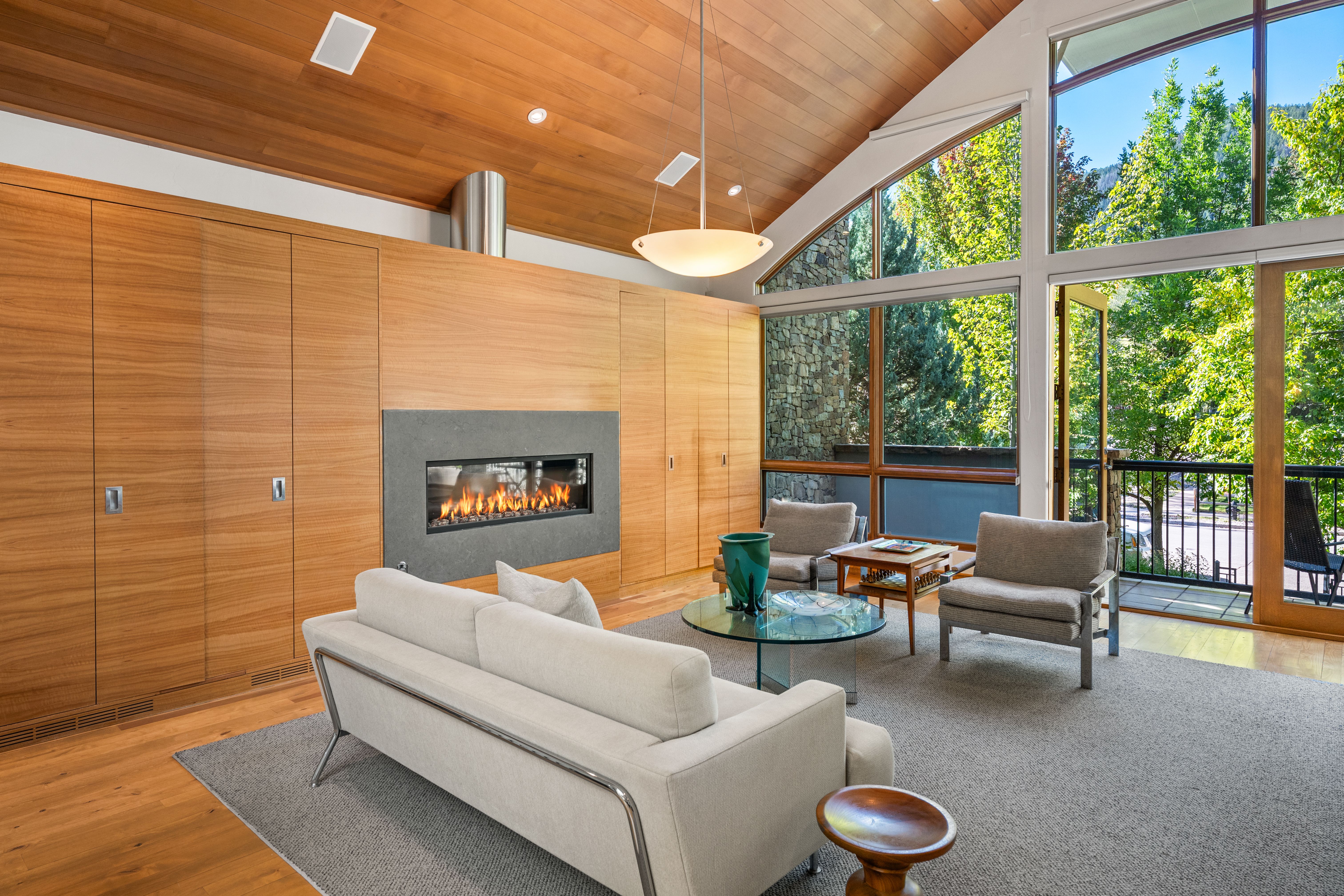  960 E Hopkins Avenue, Aspen, CO, 81611 - 物件實景