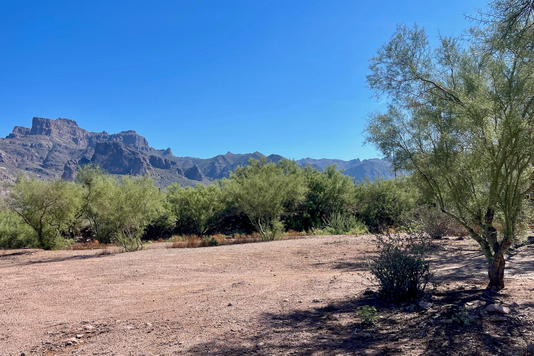  52 E Scenic (geronimo) Street¦Apache Junction, AZ - 物件實景