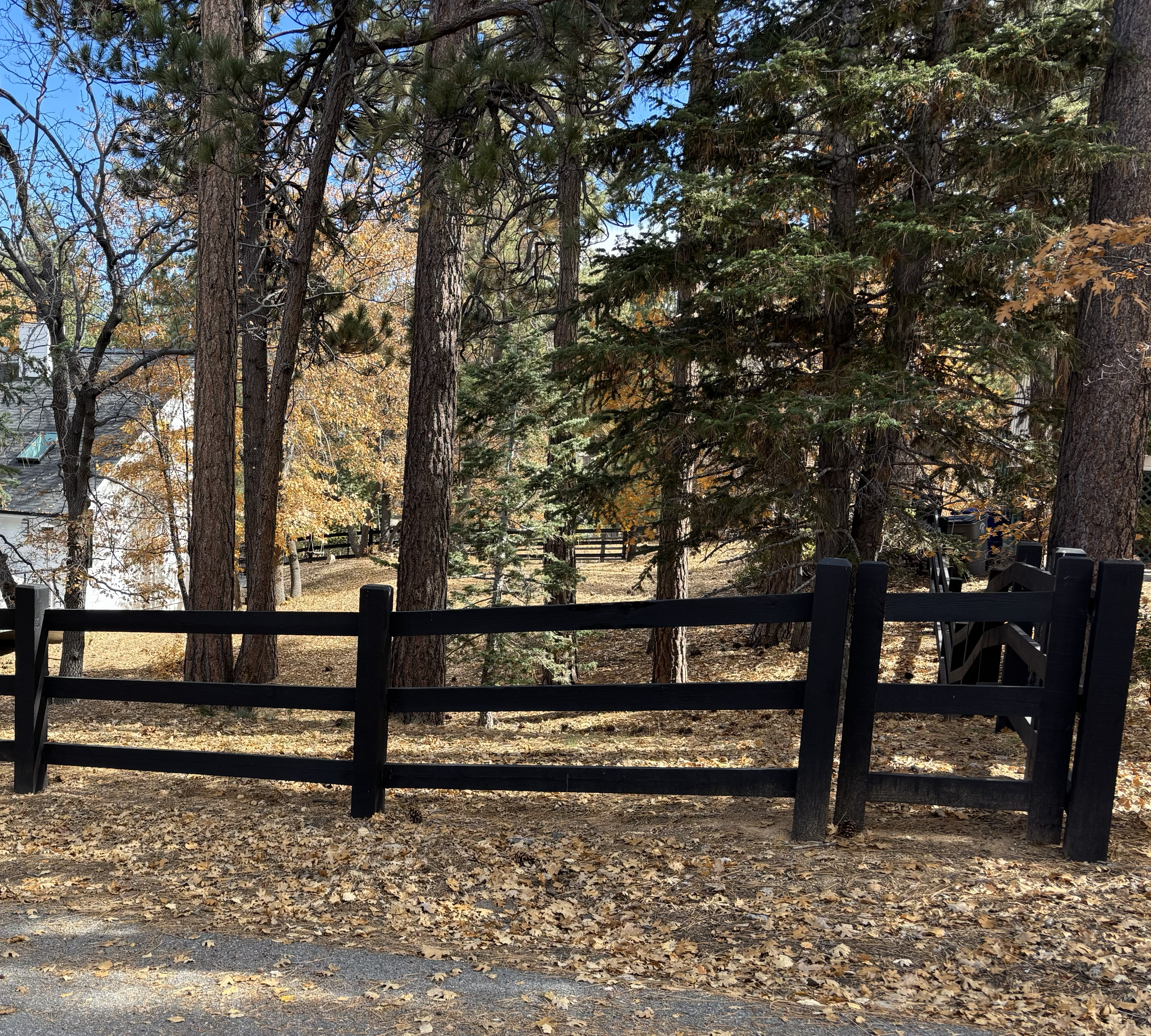  812 Ford Lane, Big Bear Lake, CA 92315 - 物件實景