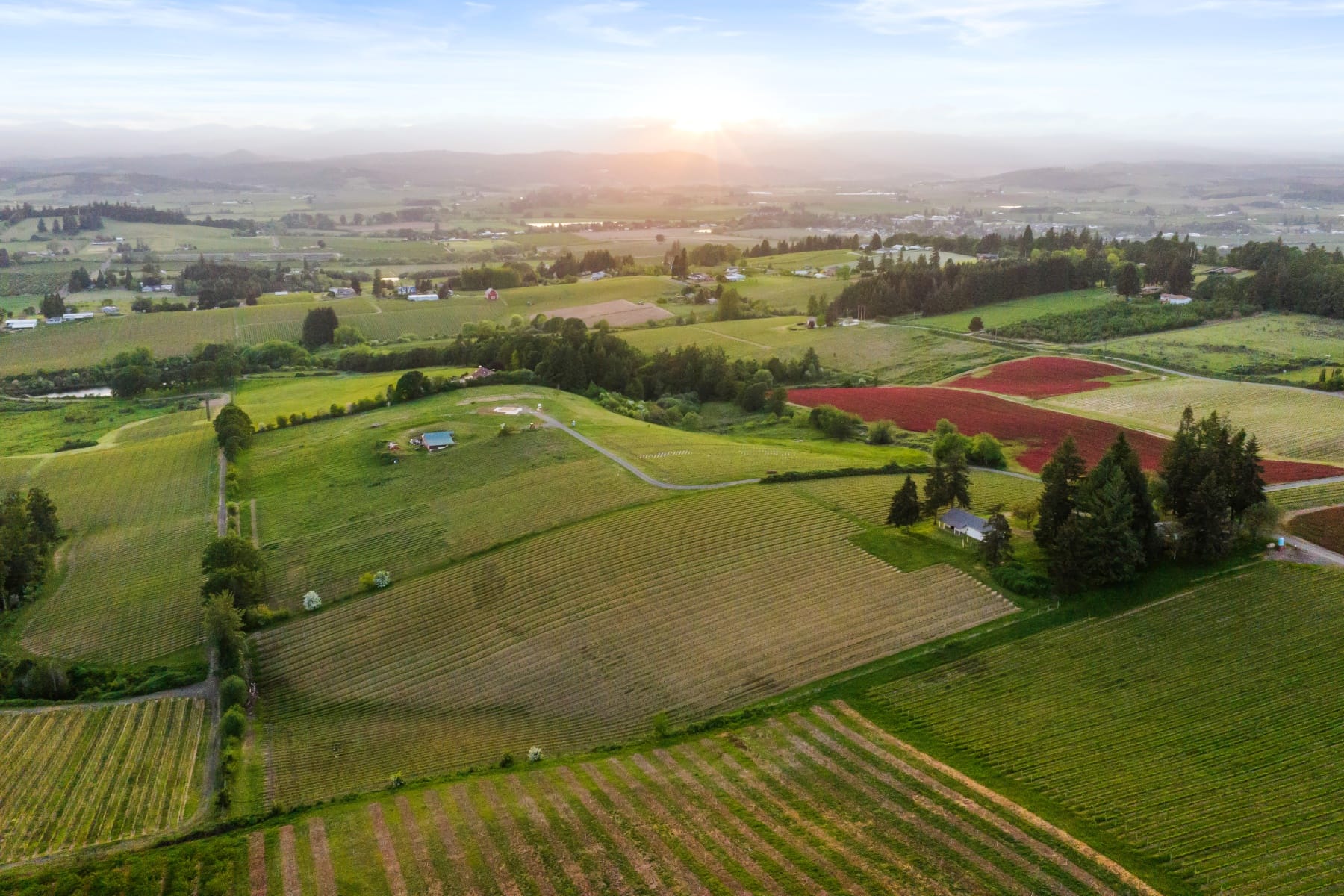  8810 NE BLACKBURN RD Yamhill, OR 97148 - 物件實景
