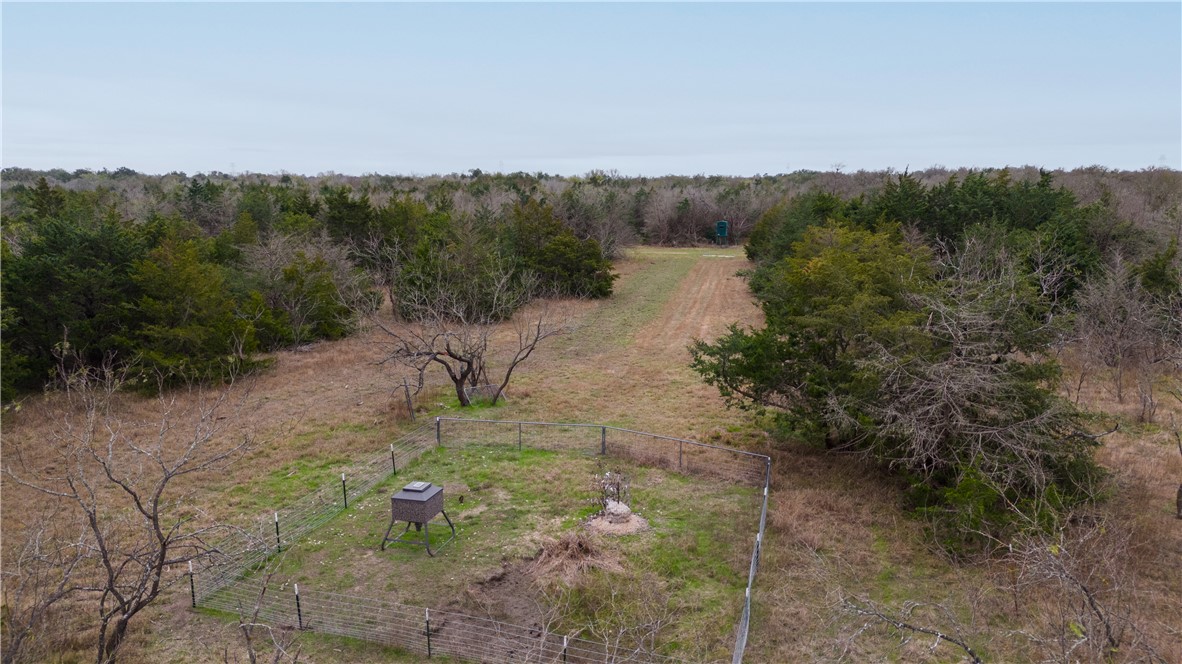 Thornton, Texas, 76687, United States, ,Land,For Sale,2003074