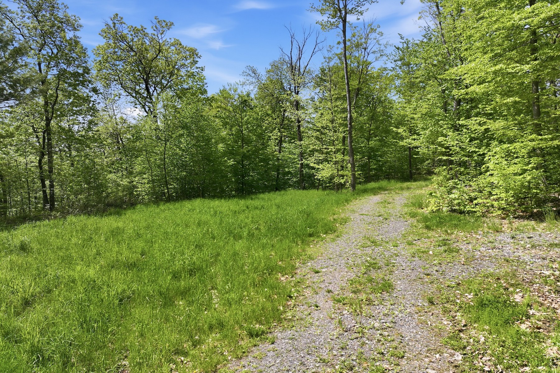  189 Shagbark Lane - 物件實景