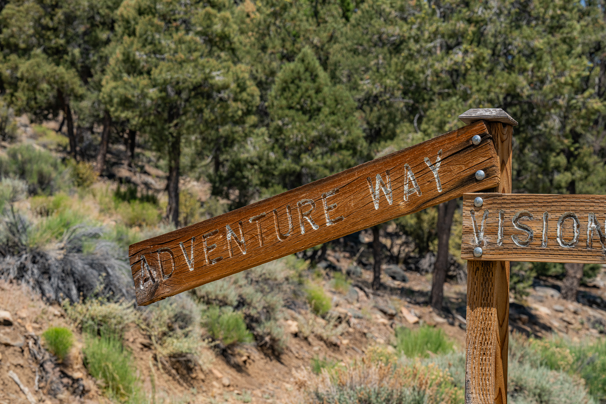  550 Eagle Ridge Road, Big Bear Lake, CA 92314 - 物件實景