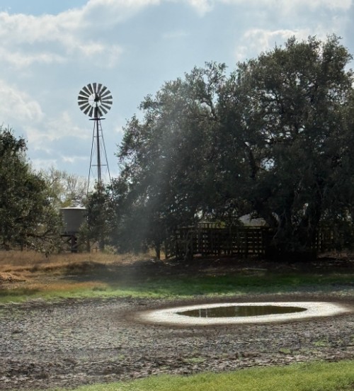 Runge, Texas, 78151, United States, 3 Bedrooms Bedrooms, ,2 BathroomsBathrooms,Residential,For Sale,1996621