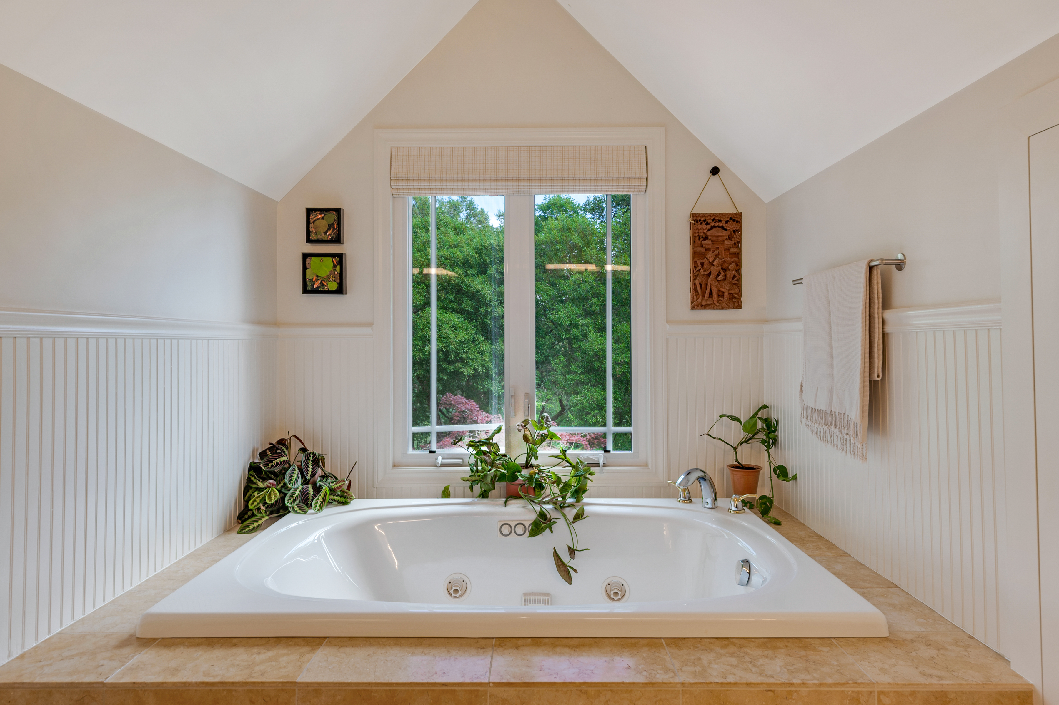  Elegance & Comfort in Sonoma - 物件實景