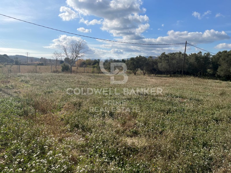 Girona, Palafrugell, Tamariu Girona, Palafrugell, Palafrugell, Catalonia, ES, 4 Bedrooms Bedrooms, ,1 BathroomBathrooms,Residential,For Sale,Girona, Palafrugell, Tamariu Girona, Palafrugell, ,1451050