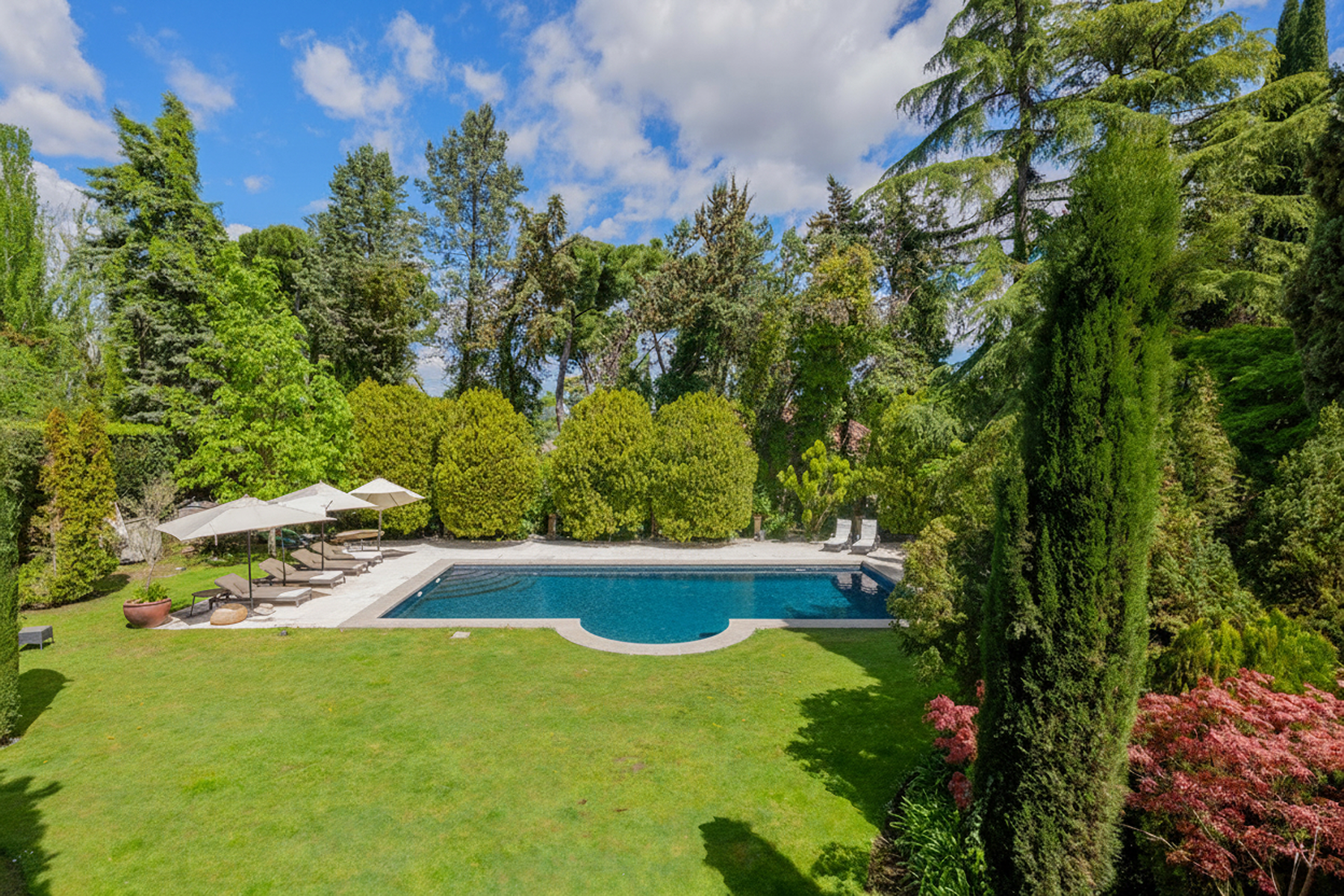  Villa with pool and garden in Somosaguas - 物件實景