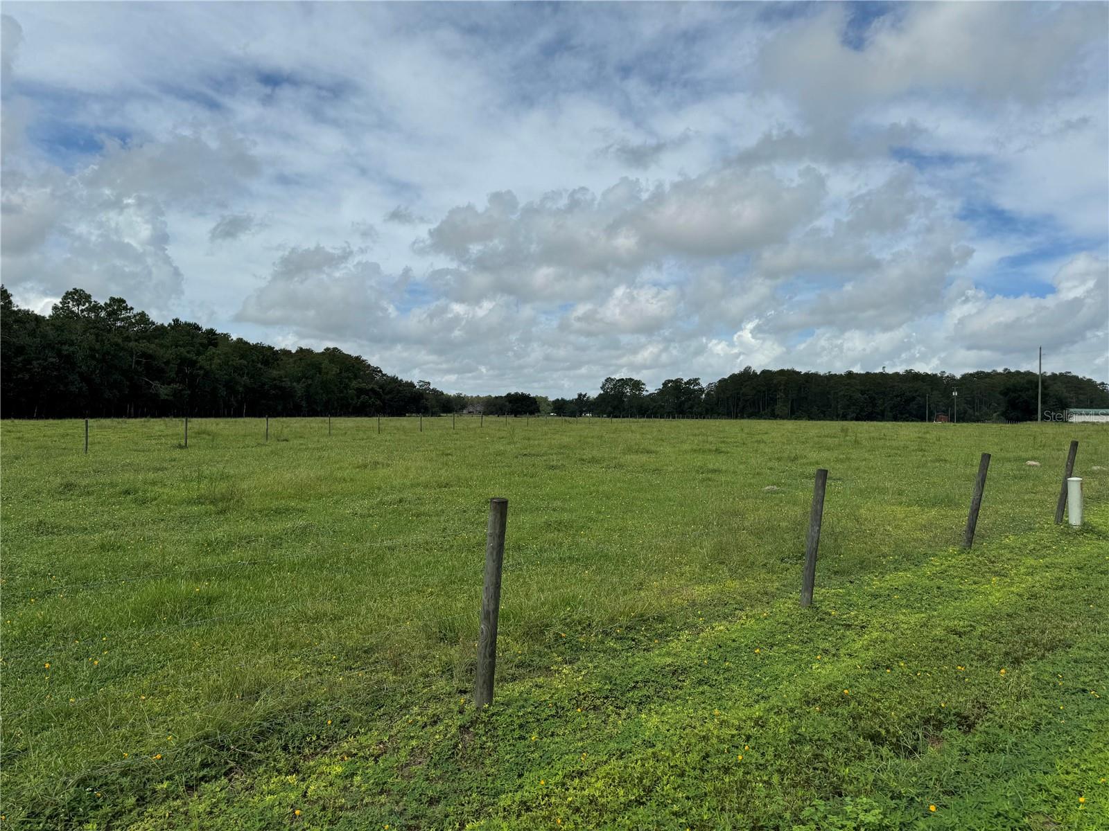 CLERMONT, Florida, 34714, United States, ,Land,For Sale,1982027
