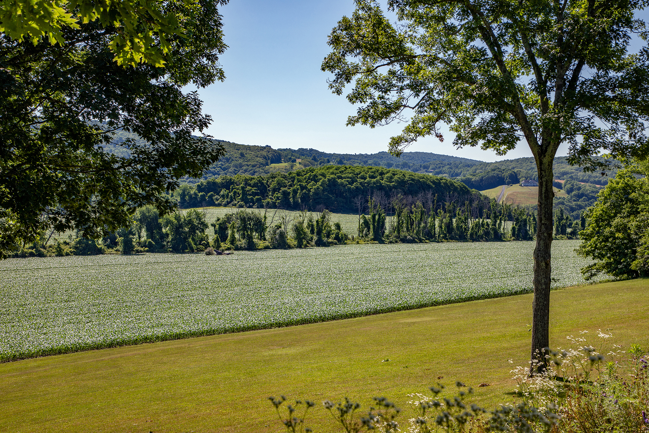  617 Bean River Road - 物件實景