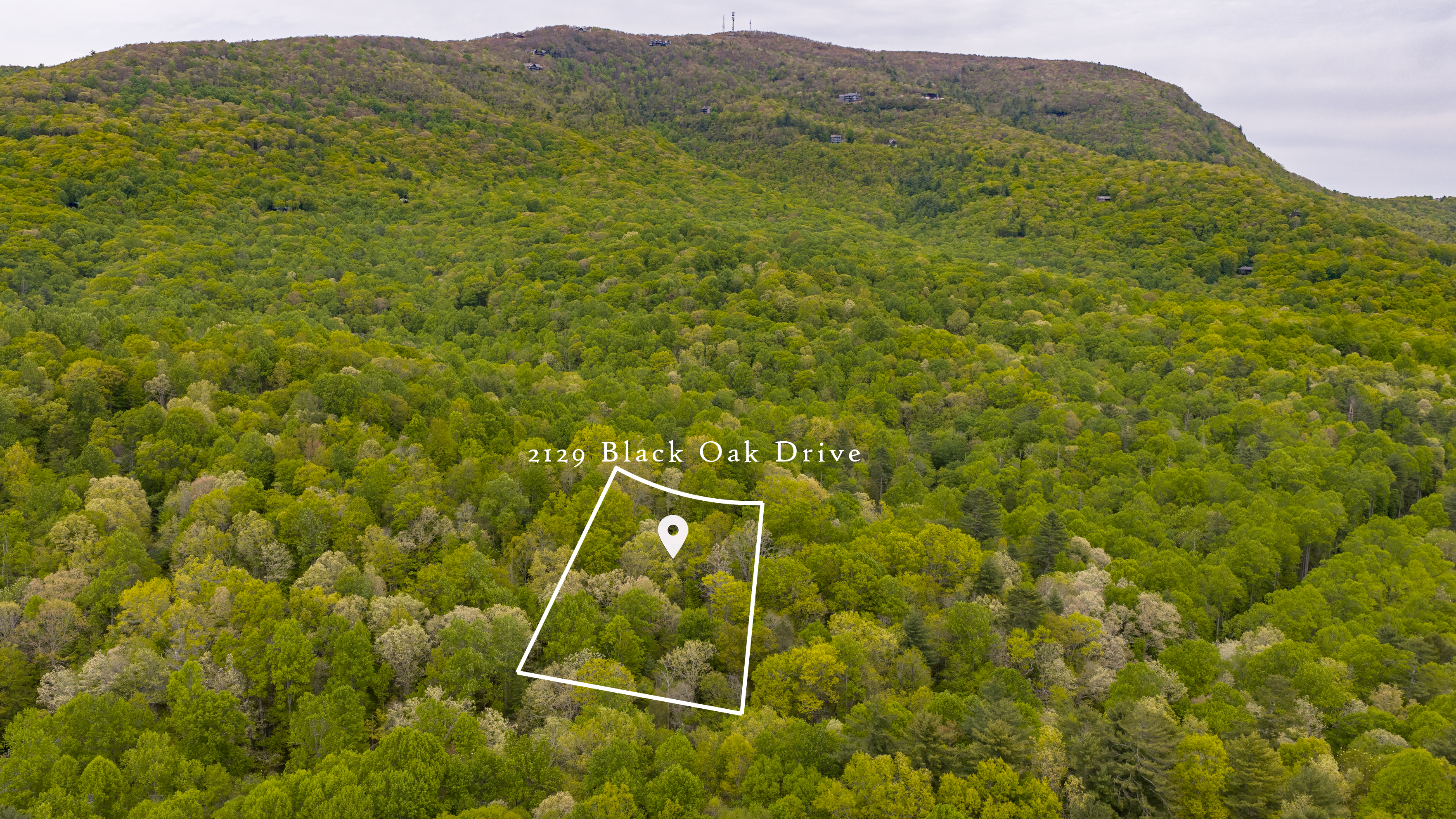  2129 Black Oak Drive - 物件實景