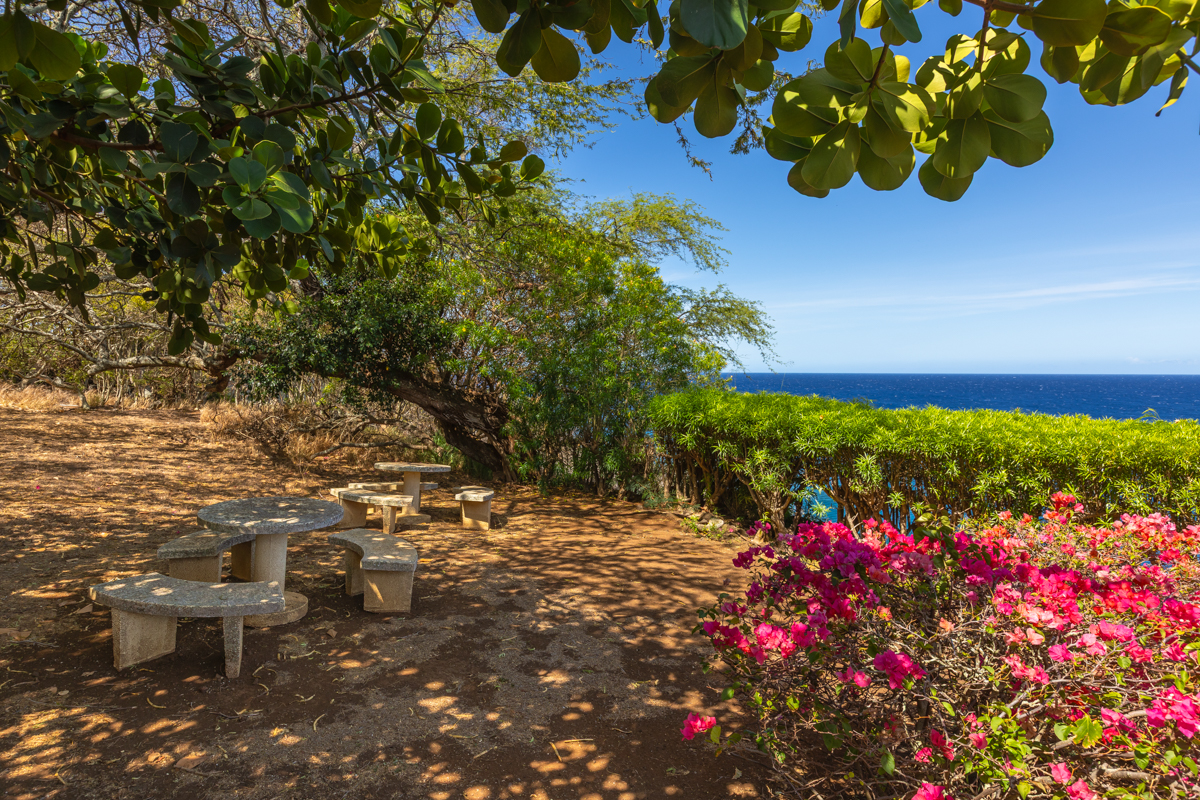 Hawi, Hawaii, 96719, United States, ,Land,For Sale,1997291