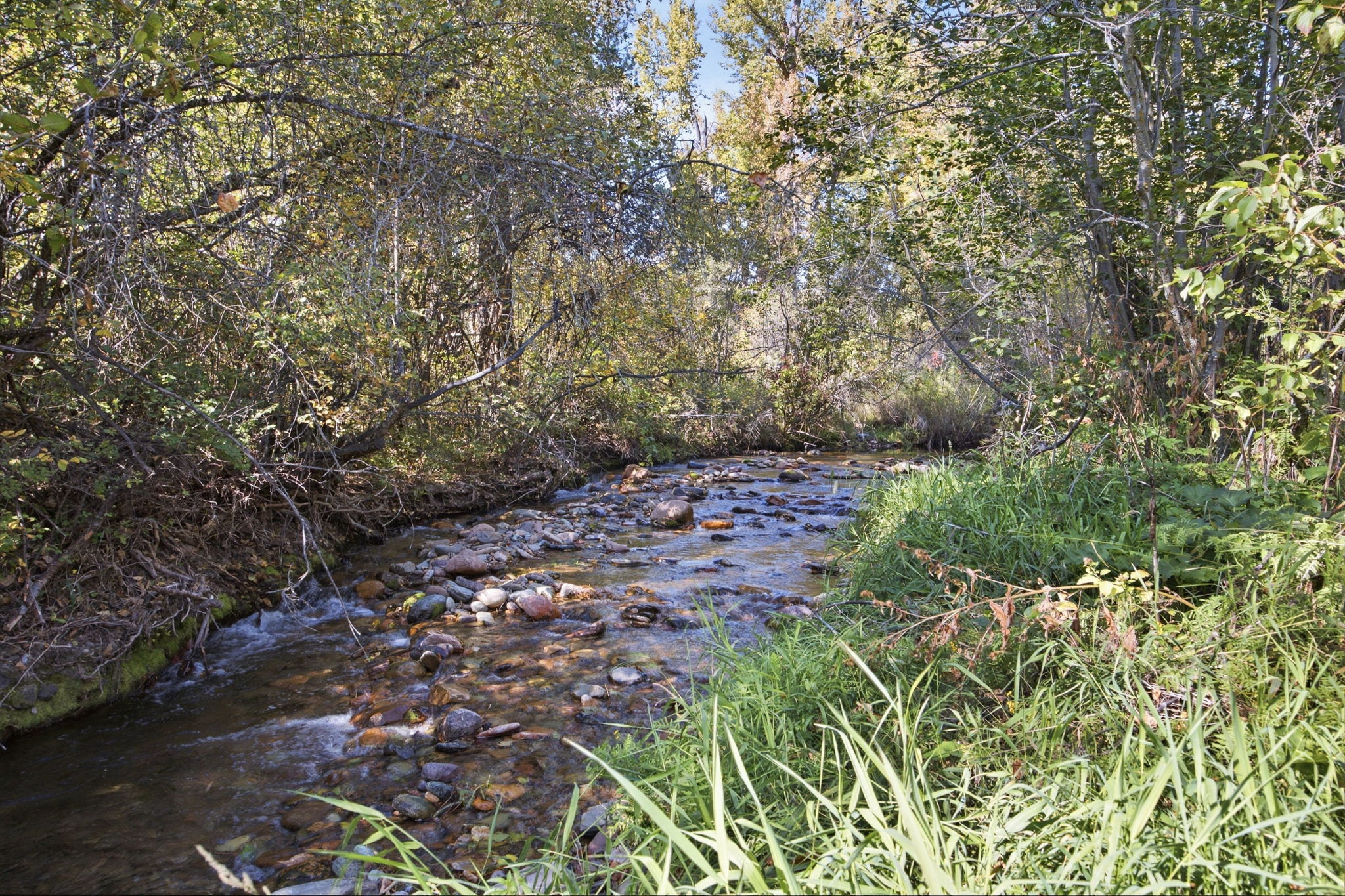  7755 grant  creek road - 物件實景
