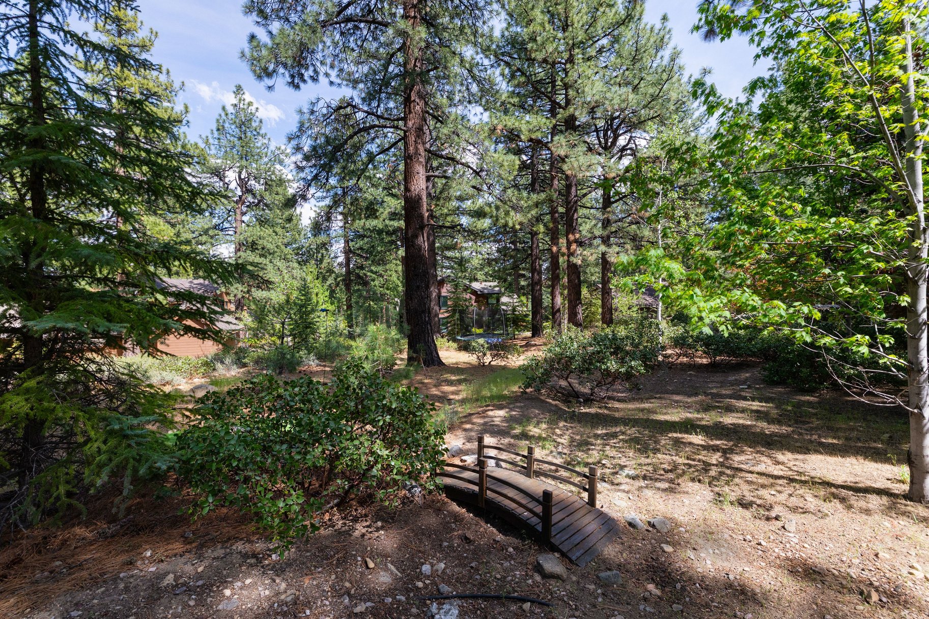  Galena Forest Mountain Home with Optional Adjacent Lot Near Lake Tahoe - 物件實景