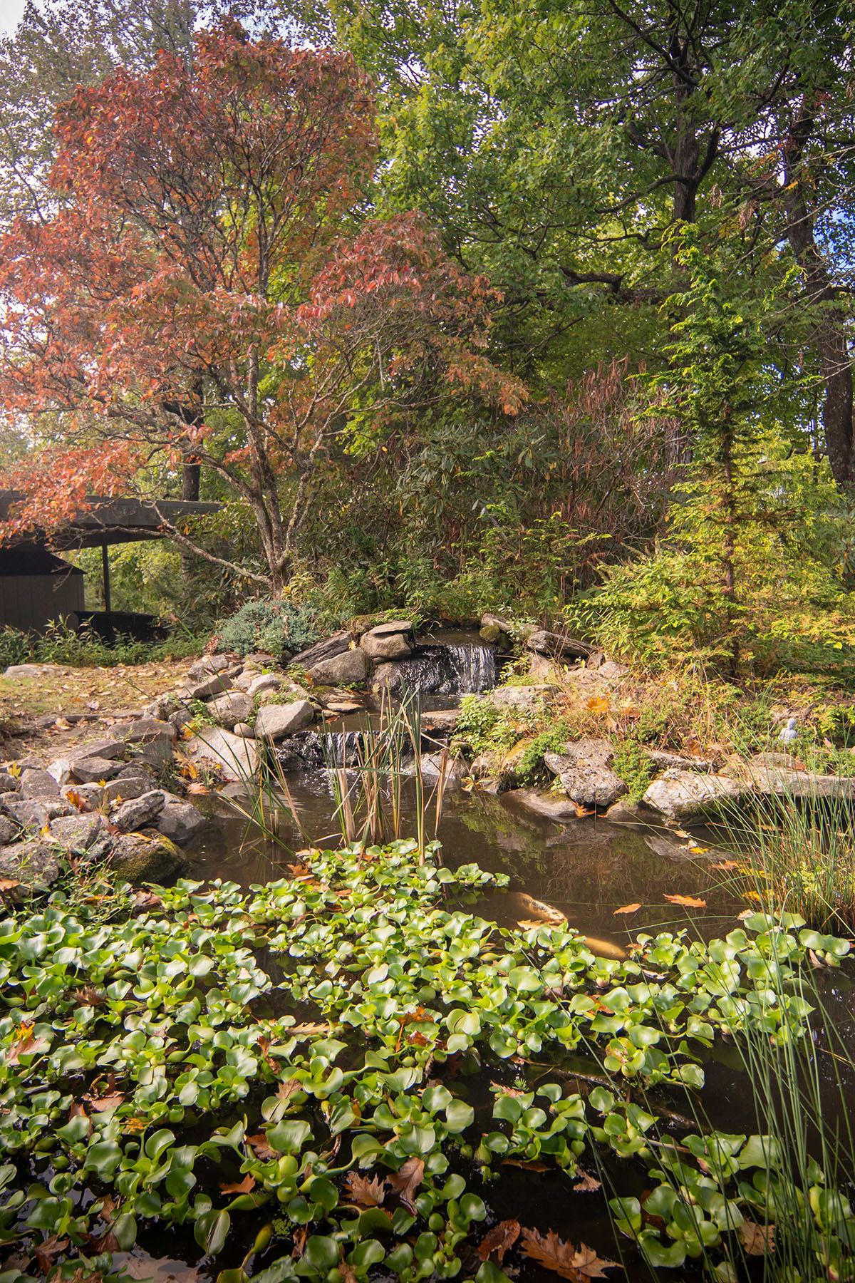  BLOWING ROCK - 物件實景