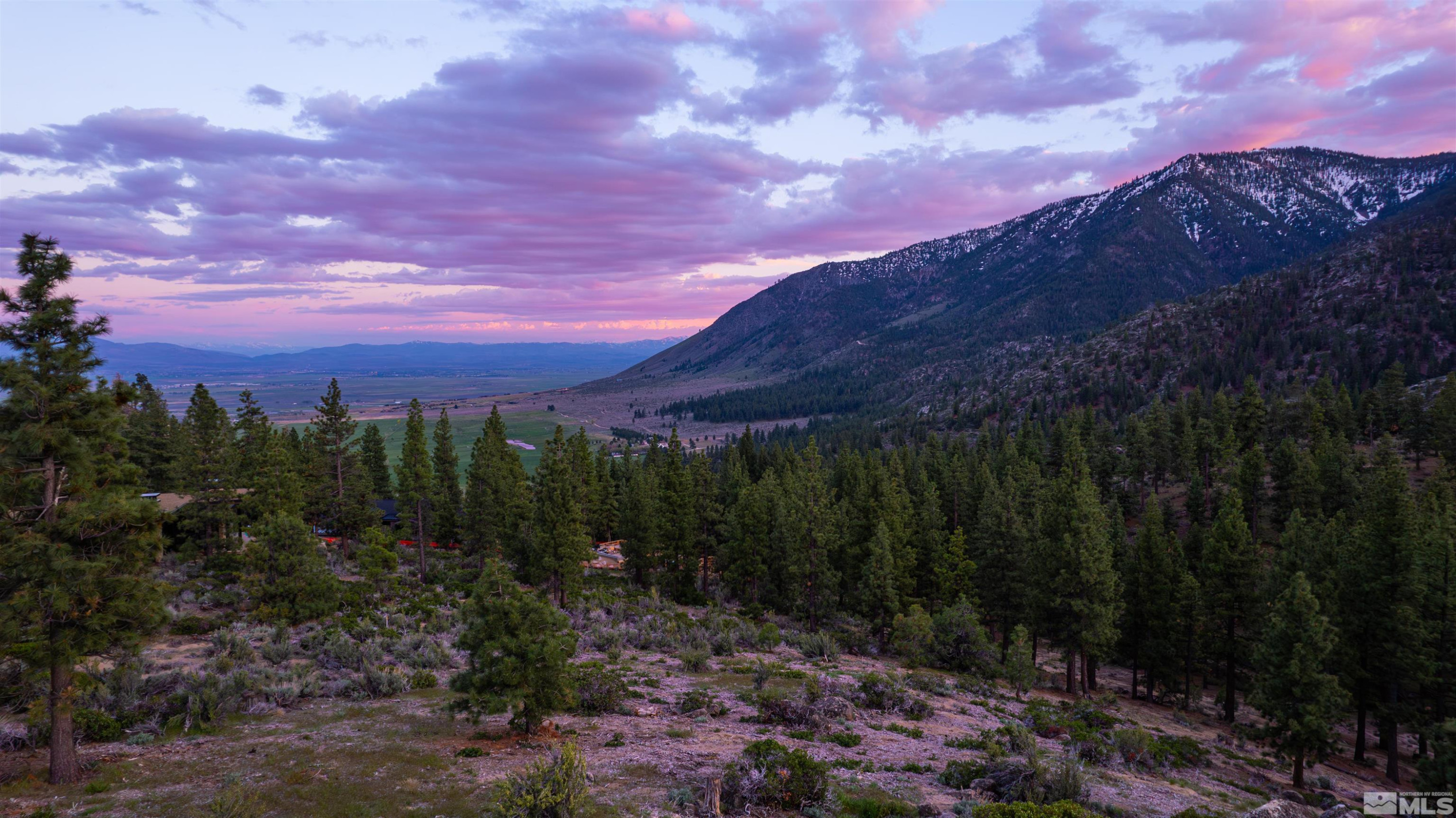 Carson City, Nevada, 89705, United States, ,Land,For Sale,1828130