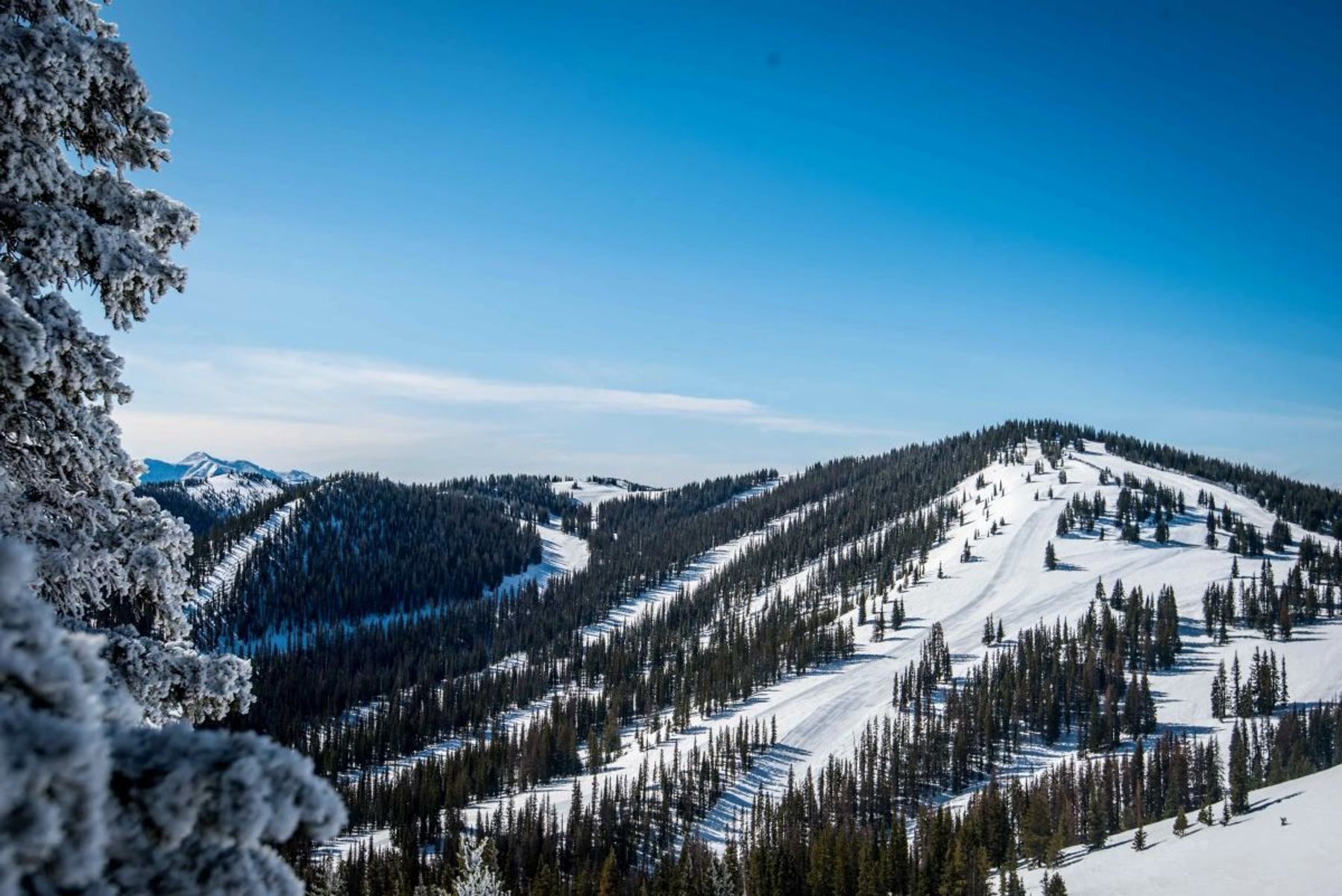  ALTO - A Modern Salida Retreat with Room for Adventure and the Potential to Earn - 物件實景