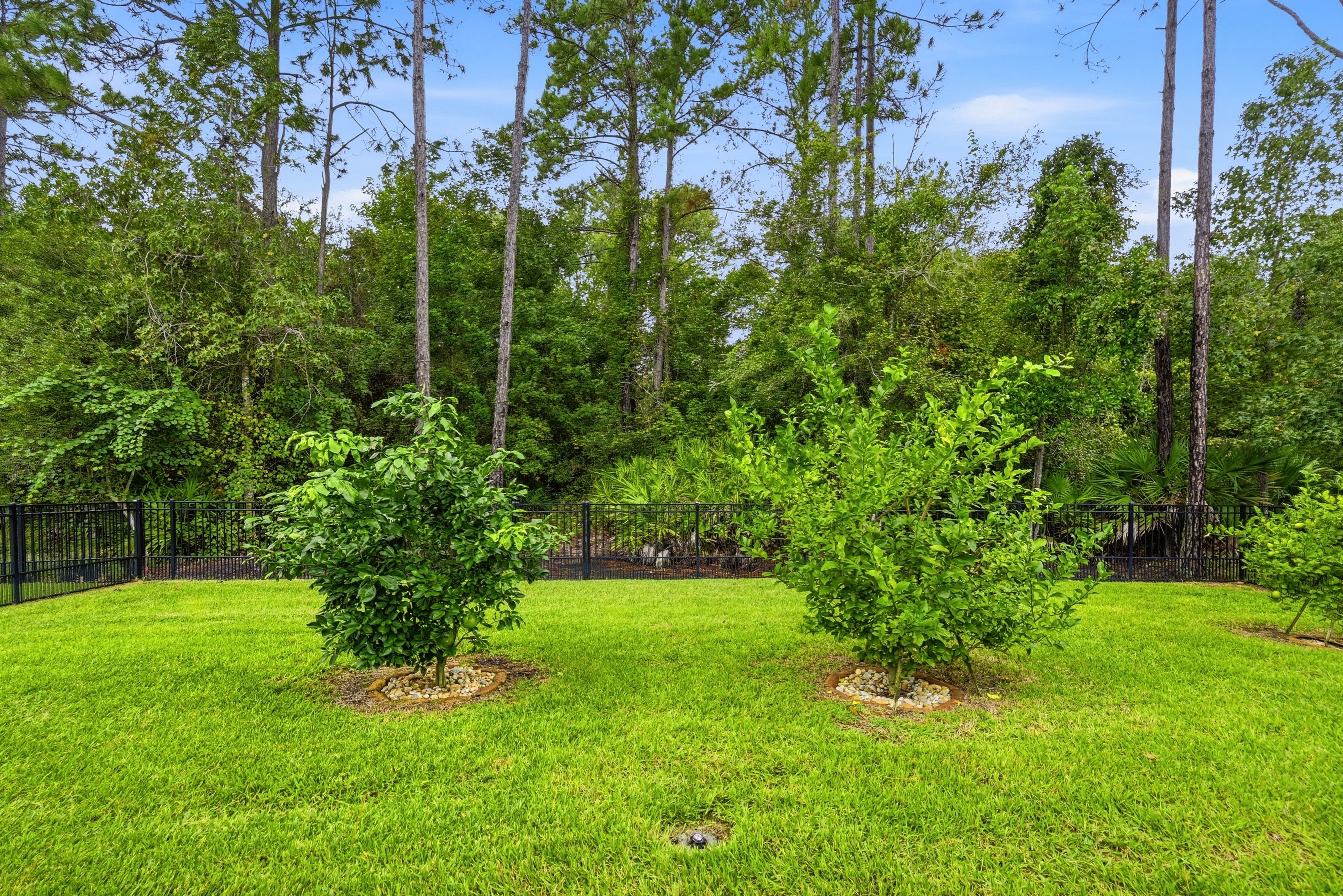  233 Woodgate Drive, Ponte Vedra, FL, 32081 - 物件實景