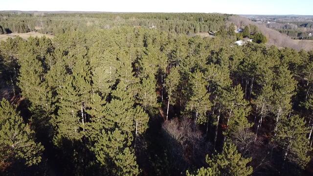 Mesick, Michigan, 49668, United States, 3 Bedrooms Bedrooms, ,2 BathroomsBathrooms,Residential,For Sale,1992996