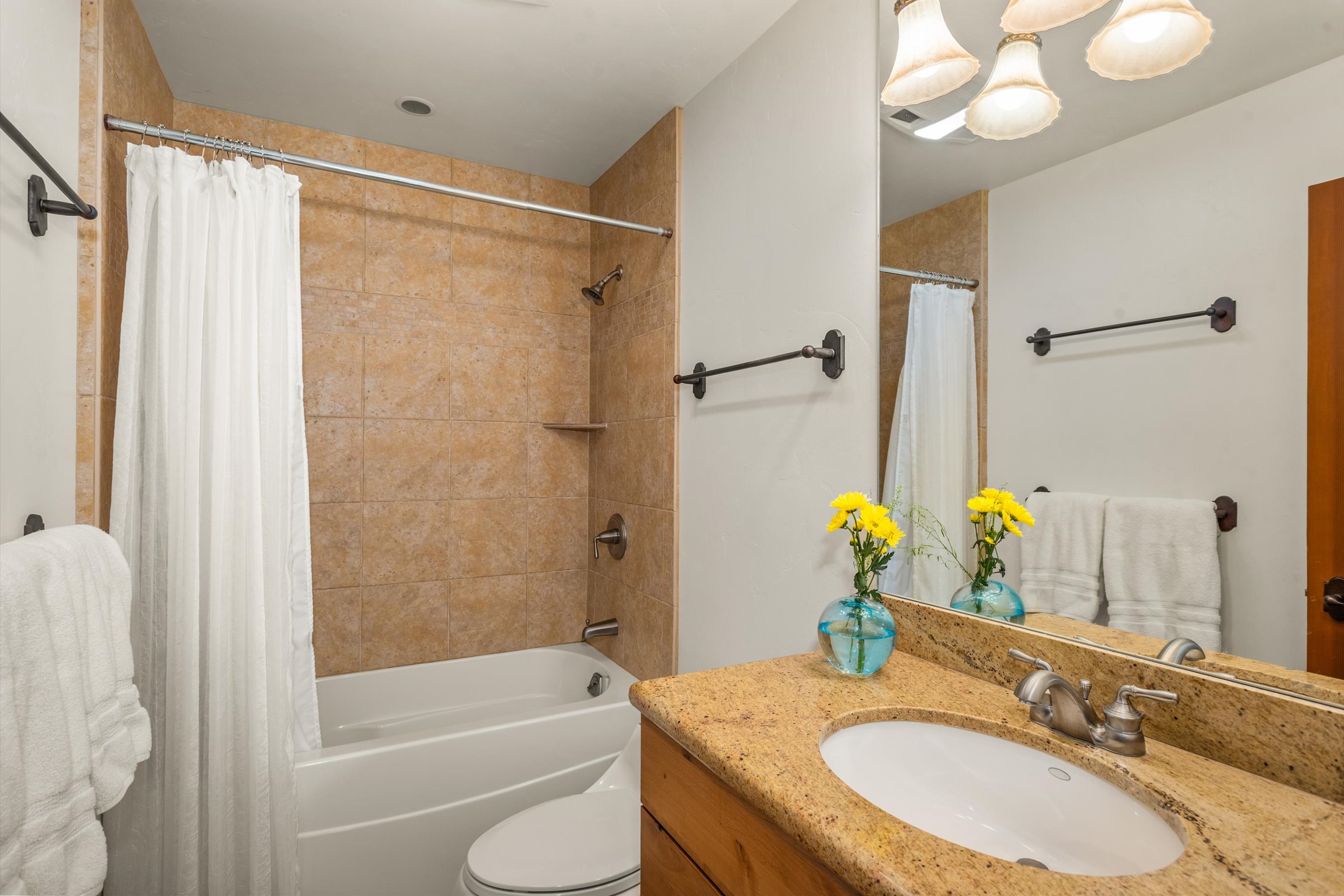  467 Snowmass Club Circle, Snowmass Village, CO, 81615 - 物件實景