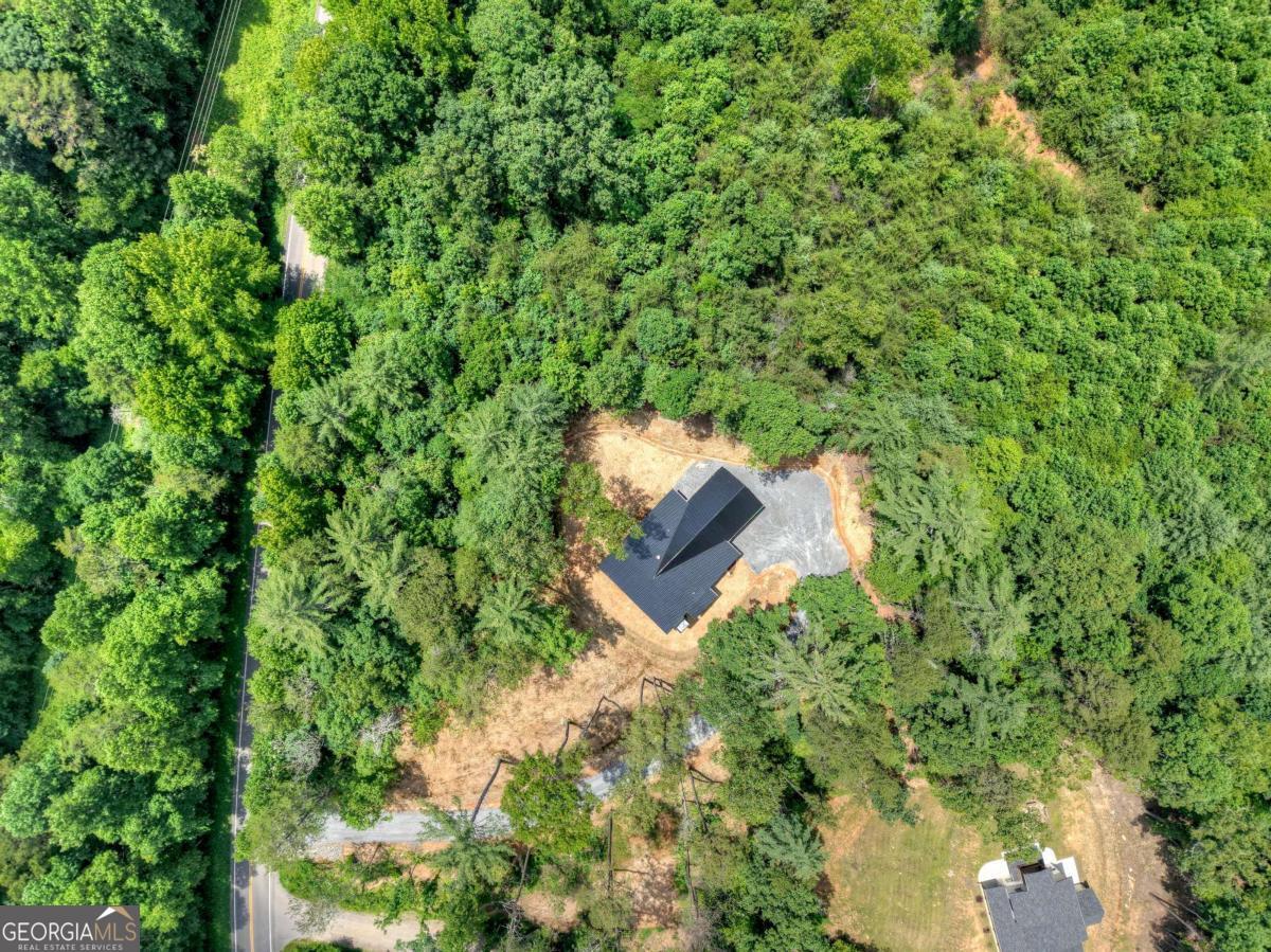 Mineral Bluff, Georgia, 30559, United States, 3 Bedrooms Bedrooms, ,3 BathroomsBathrooms,Residential,For Sale,1877867