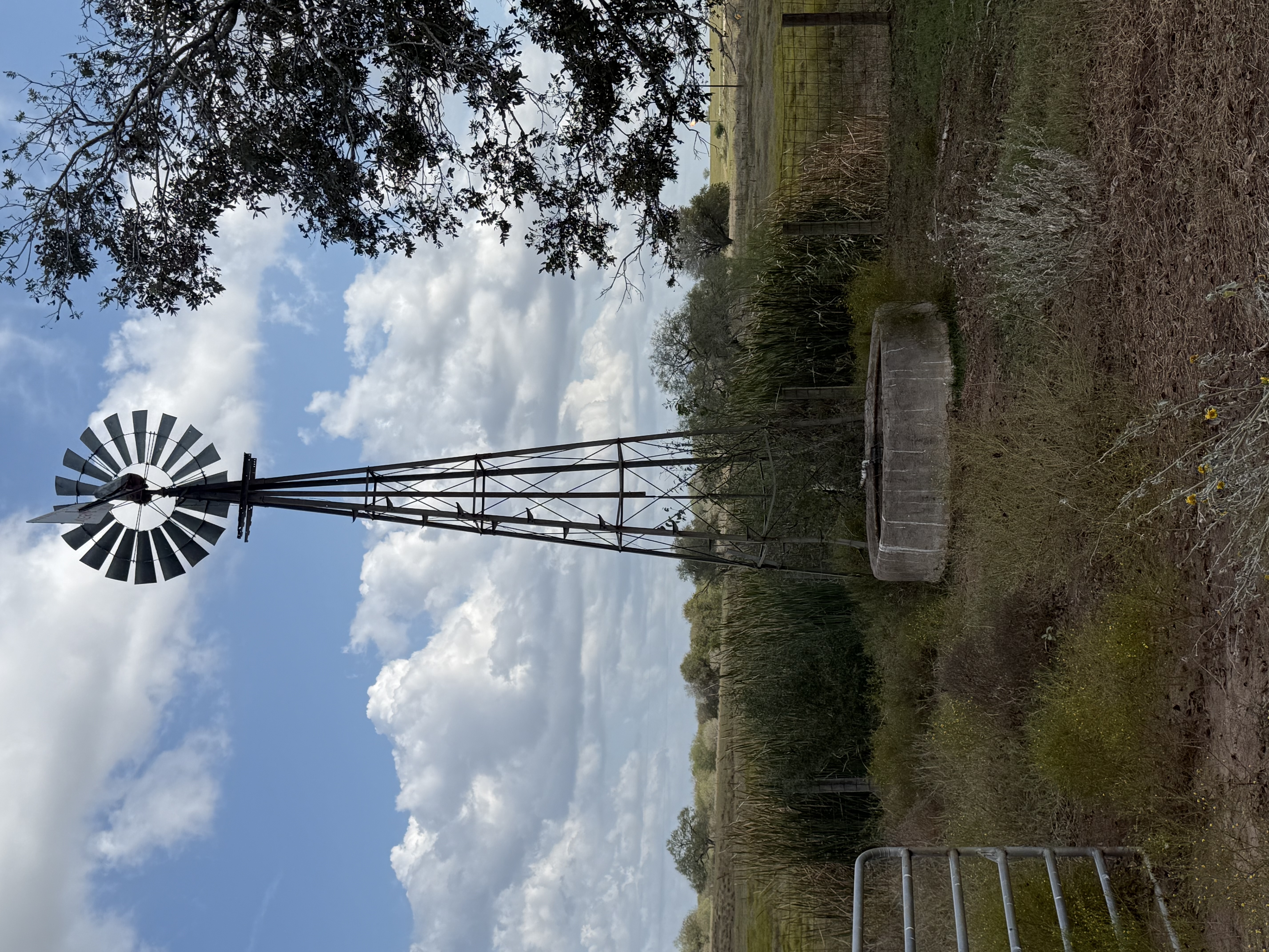 Runge, Texas, 78151, United States, ,Residential,For Sale,1996631