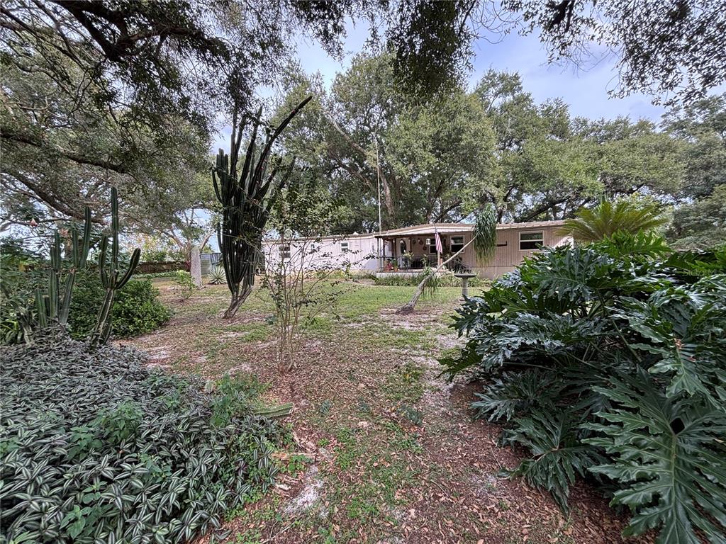 Apopka, Florida, 32712, United States, ,Land,For Sale,1998337