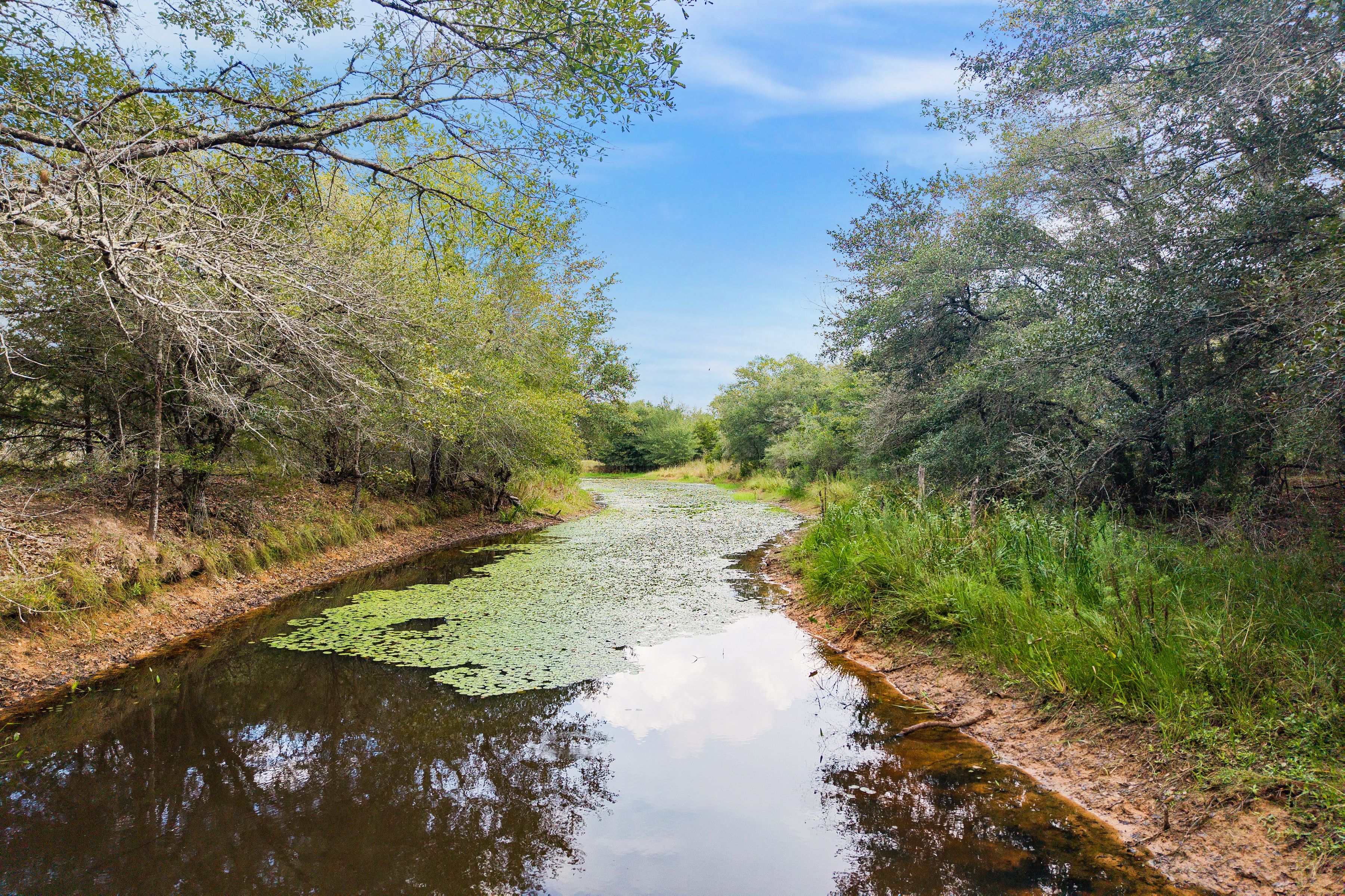  1194 Miller Creek Loop - 物件實景