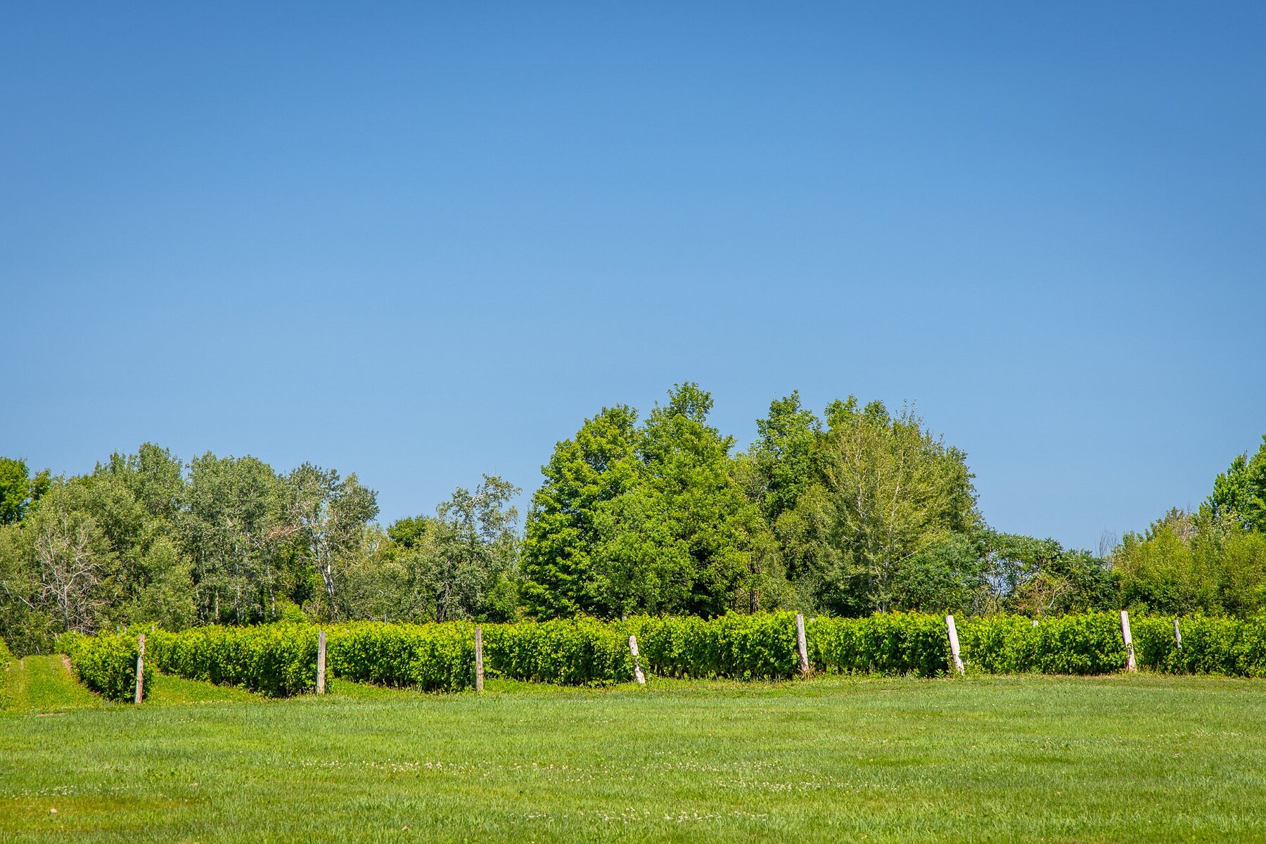  Saint-Armand, Eastern Townships - 物件實景