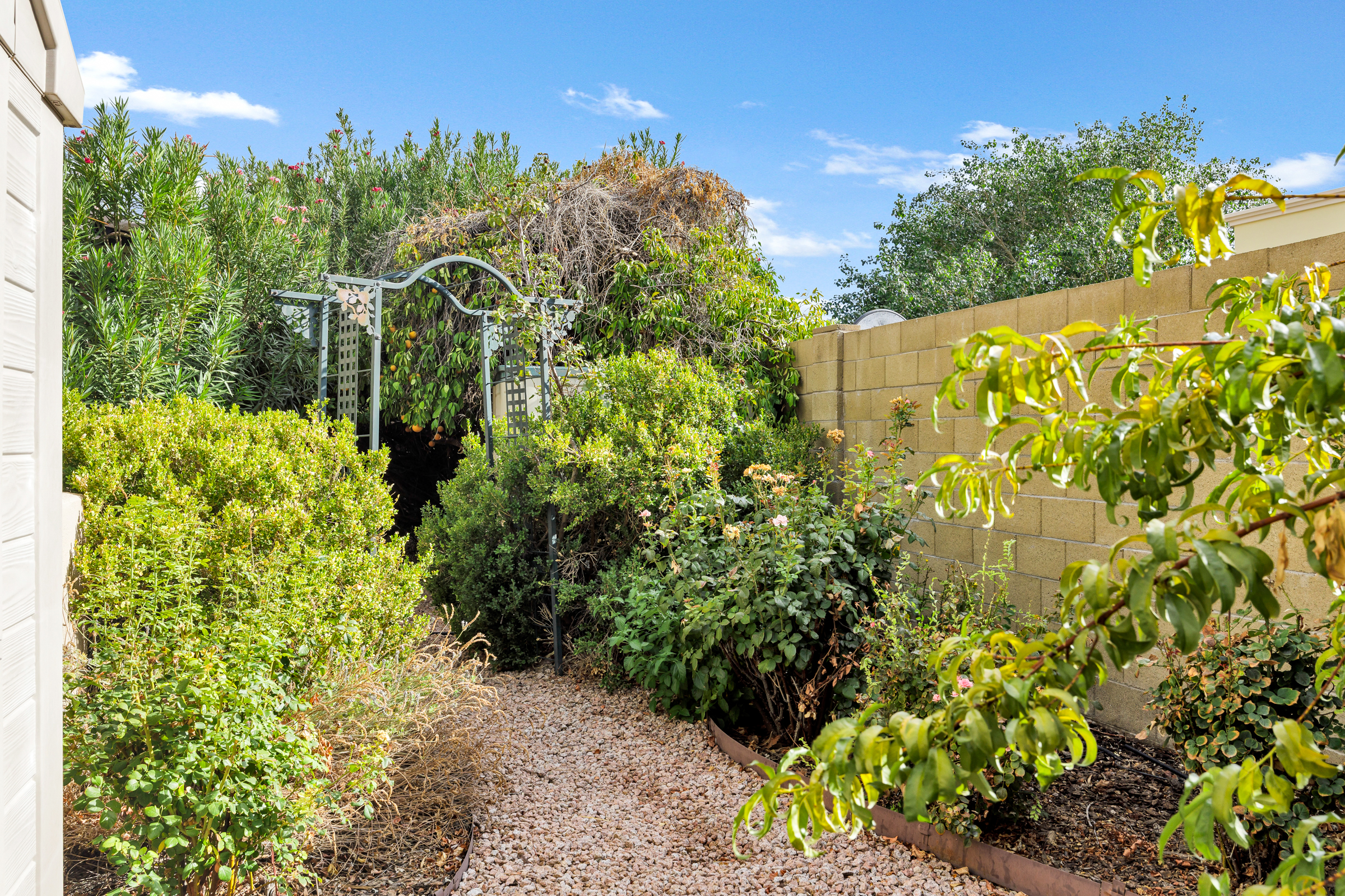 Mesa, Arizona, 85205, United States, 6 Bedrooms Bedrooms, ,3 BathroomsBathrooms,Residential,For Sale,1900615