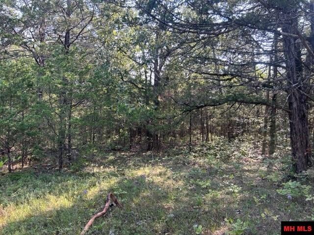 001-05276-003 INVERNESS DRIVE, Mountain Home, Arkansas, 72653, United States, ,Residential,For Sale,001-05276-003 INVERNESS DRIVE,1333567