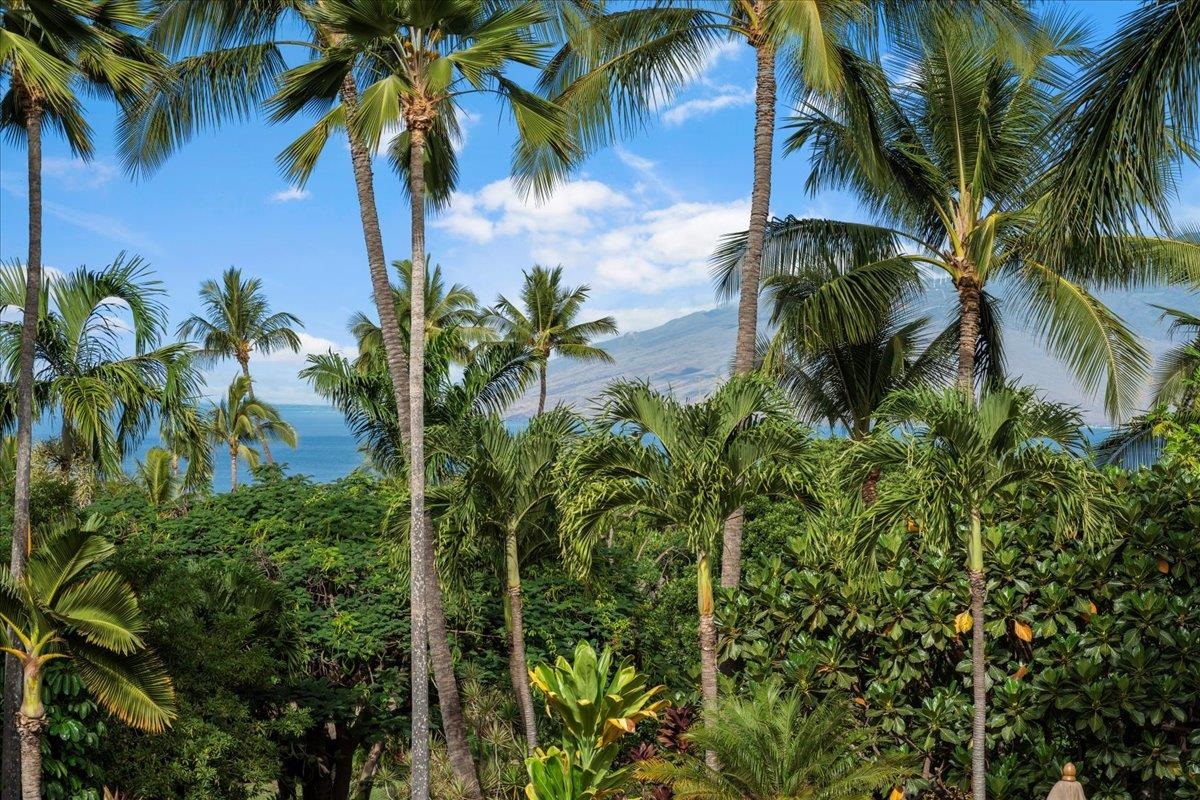 Kihei, Hawaii, 96753, United States, 5 Bedrooms Bedrooms, ,5 BathroomsBathrooms,Residential,For Sale,2003488