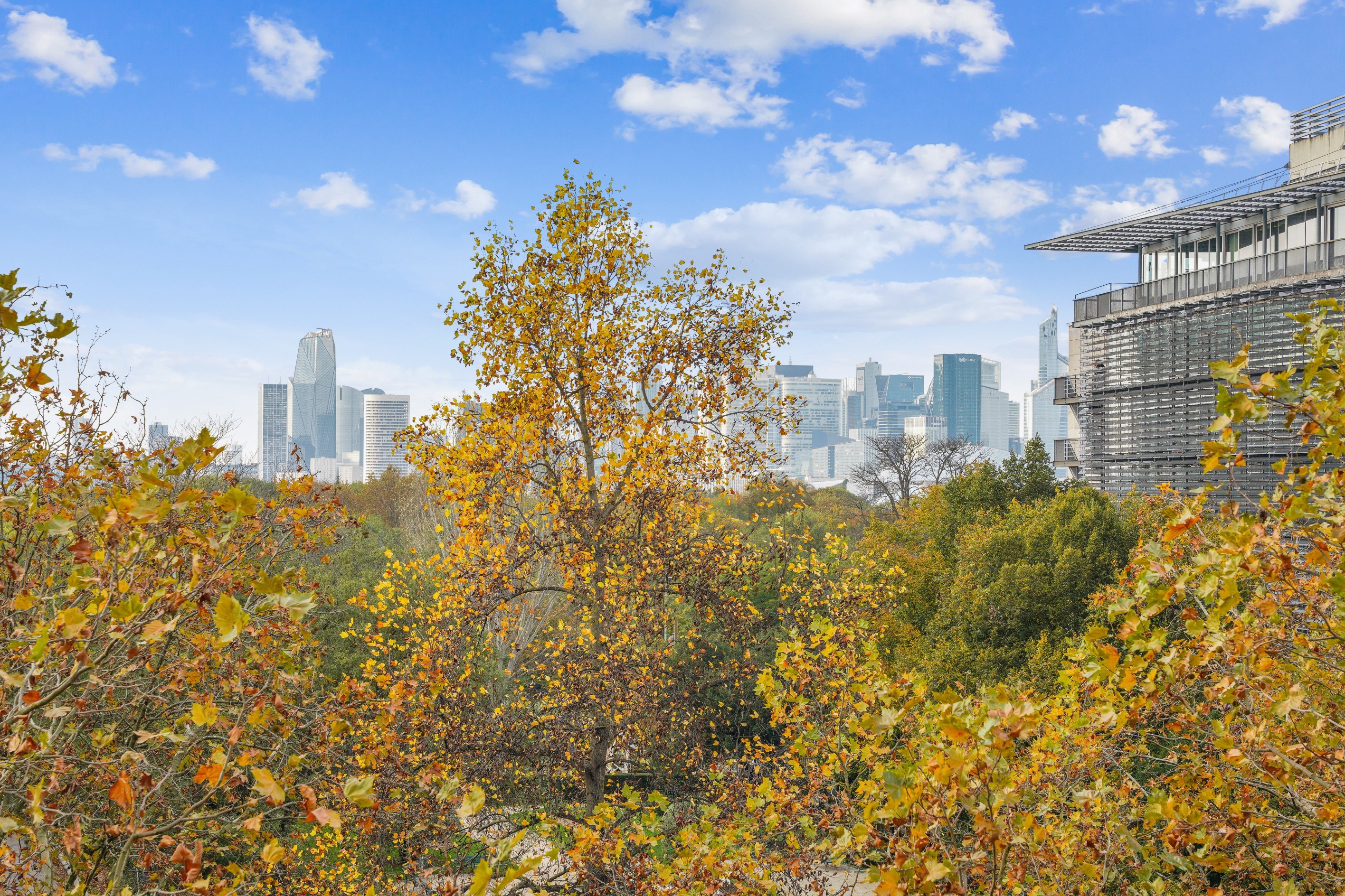  Paris XVI - FOCH - 139 sqm apartment with plunging views on the Bois de Boulogne - 物件實景