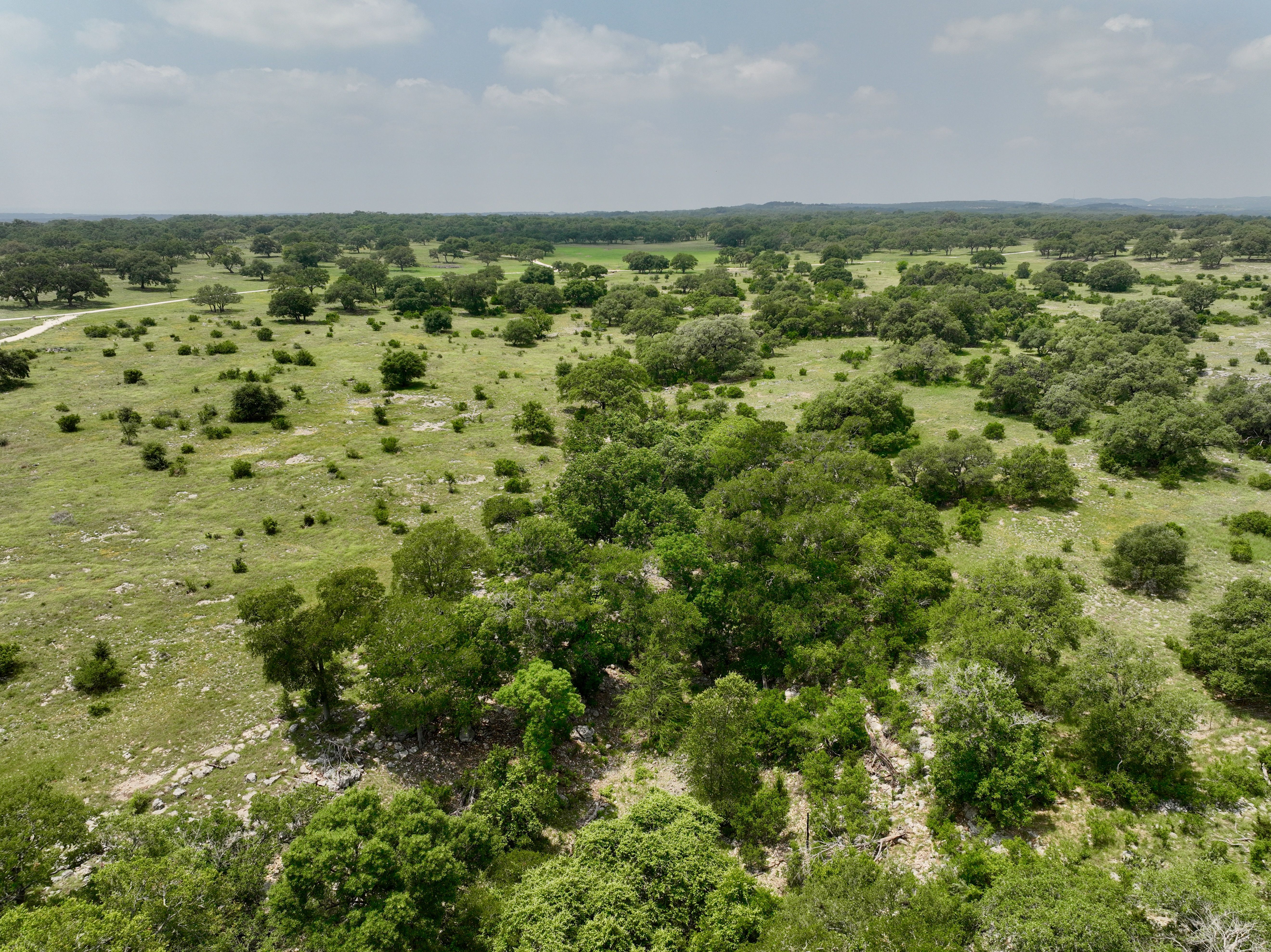  Rolling Oaks Ranch: The Pinnacle of Private Estate Living - 物件實景