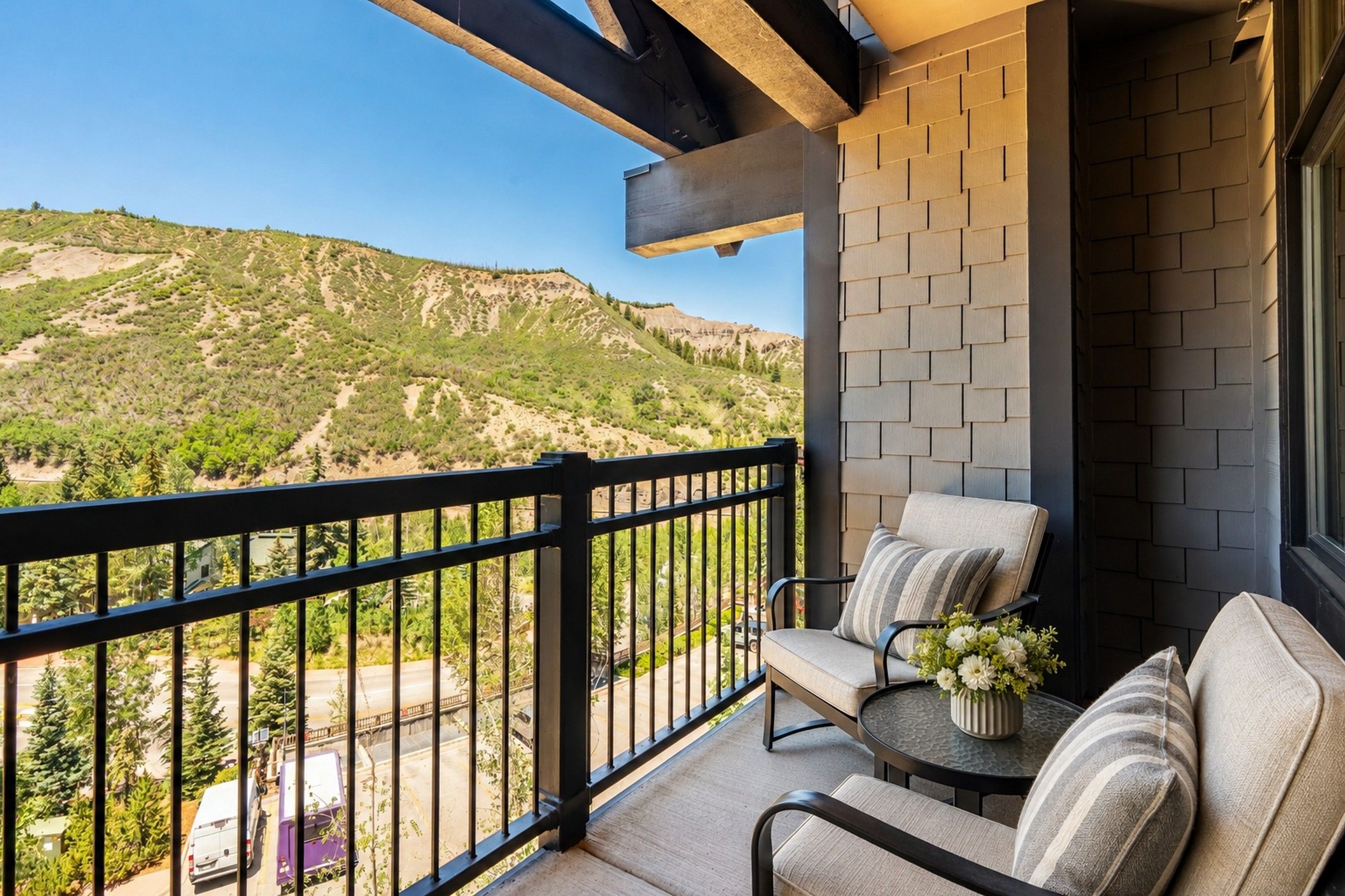  110 Carriage Way, Snowmass Village, CO, 81615 - 物件實景
