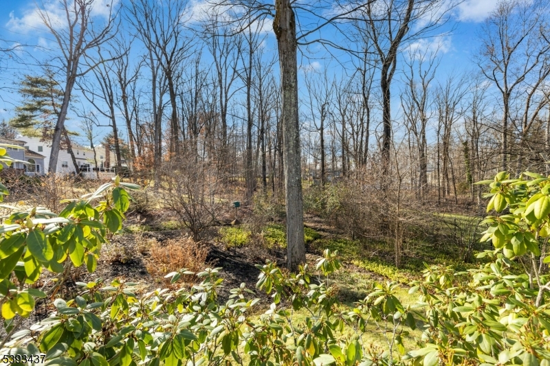 Berkeley Heights Twp., New Jersey, 07922, United States, 4 Bedrooms Bedrooms, ,2 BathroomsBathrooms,Residential,For Sale,2003400