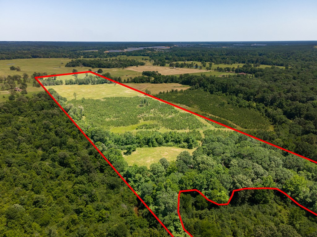 Pollok, Texas, 75969, United States, ,Residential,For Sale,1928088