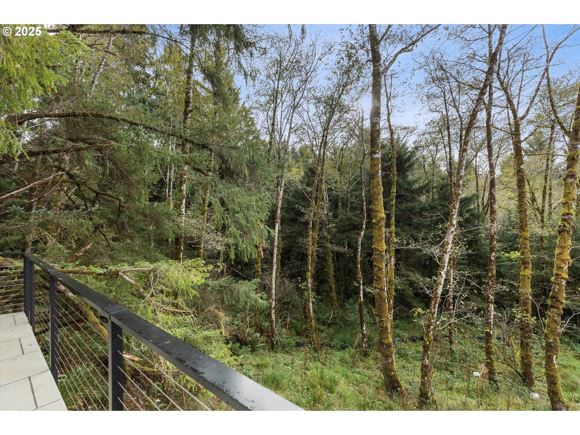 CannonBeach, Oregon, 97110, United States, 4 Bedrooms Bedrooms, ,4 BathroomsBathrooms,Residential,For Sale,2003076