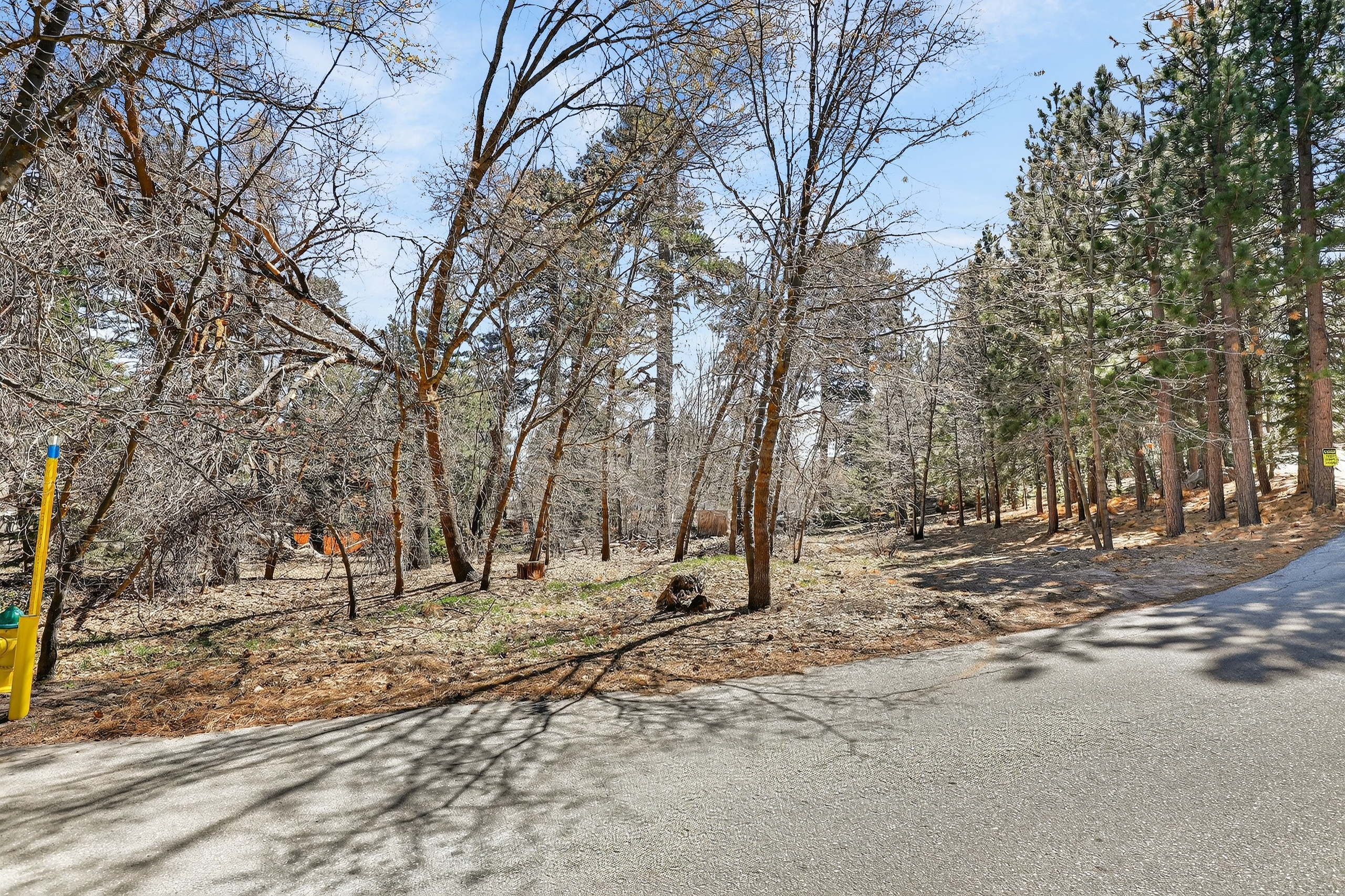  0 Cepu Rd, Running Springs , CA 92382 - 物件實景