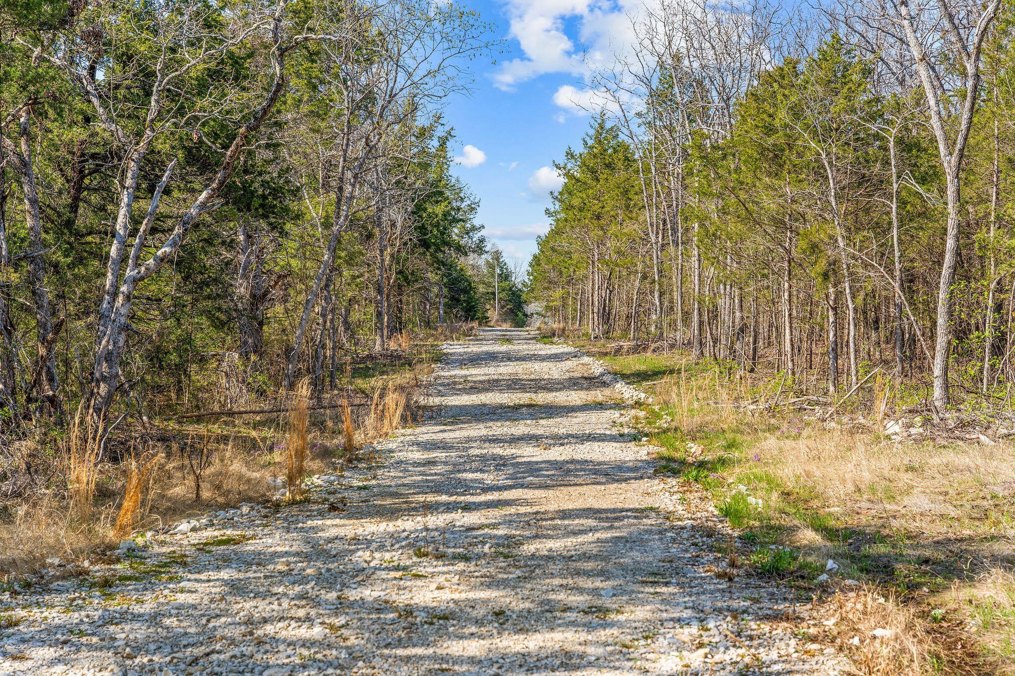 Kirbyville, Missouri, 65679, United States, ,Land,For Sale,1978892