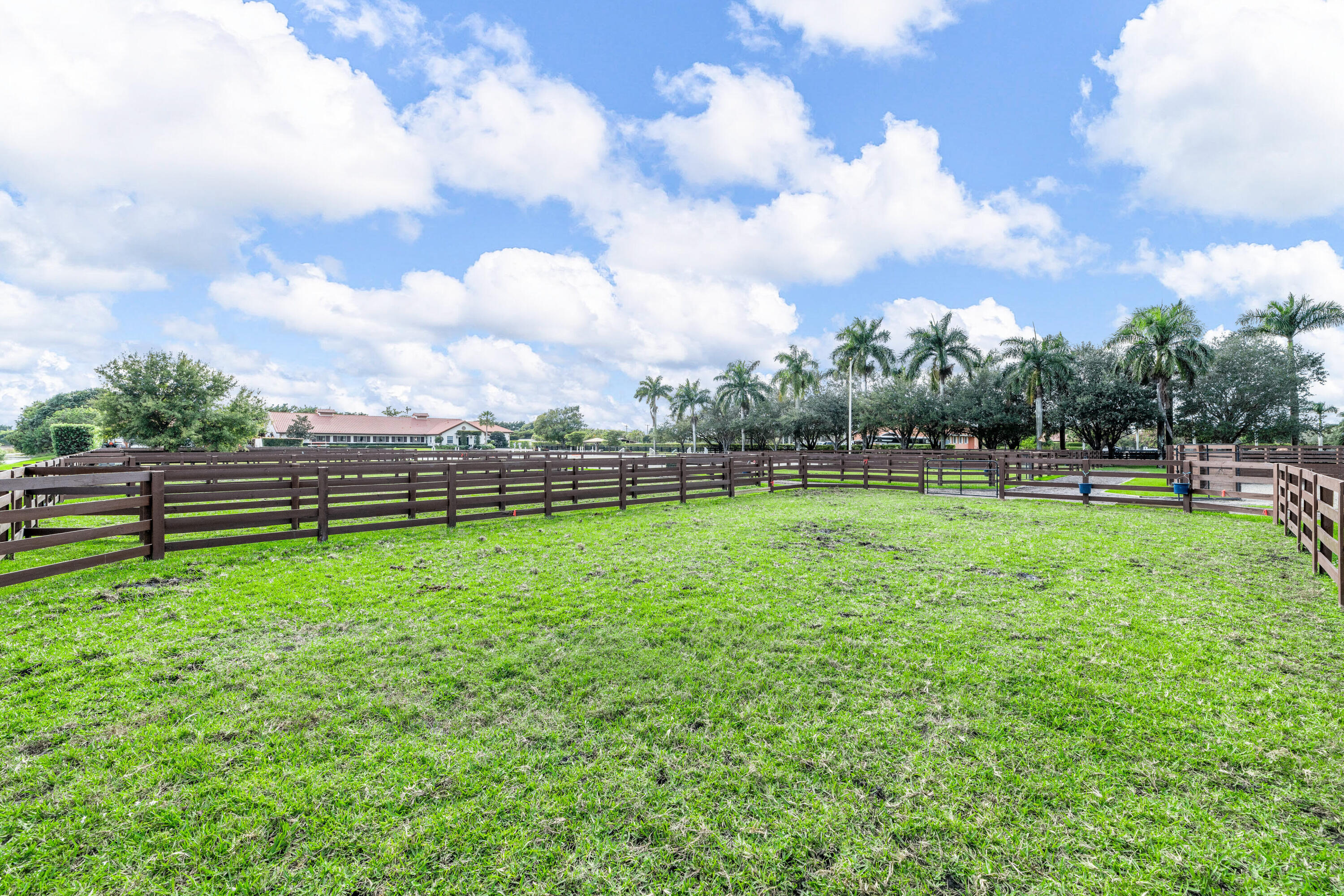  14750 Palm Beach Point Boulevard - 物件實景