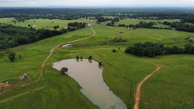 Henderson, Texas, 75654, United States, ,Land,For Sale,1865507