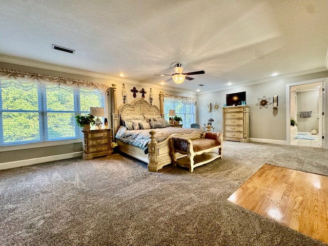 Paragould, Arkansas, 72450, United States, 5 Bedrooms Bedrooms, ,3 BathroomsBathrooms,Residential,For Sale,1955284