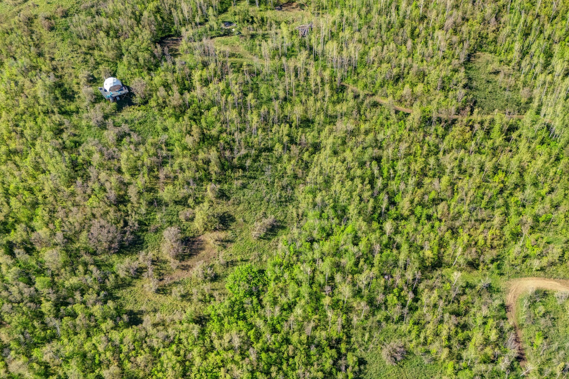  Wooded 5 acres No HOA - 物件實景