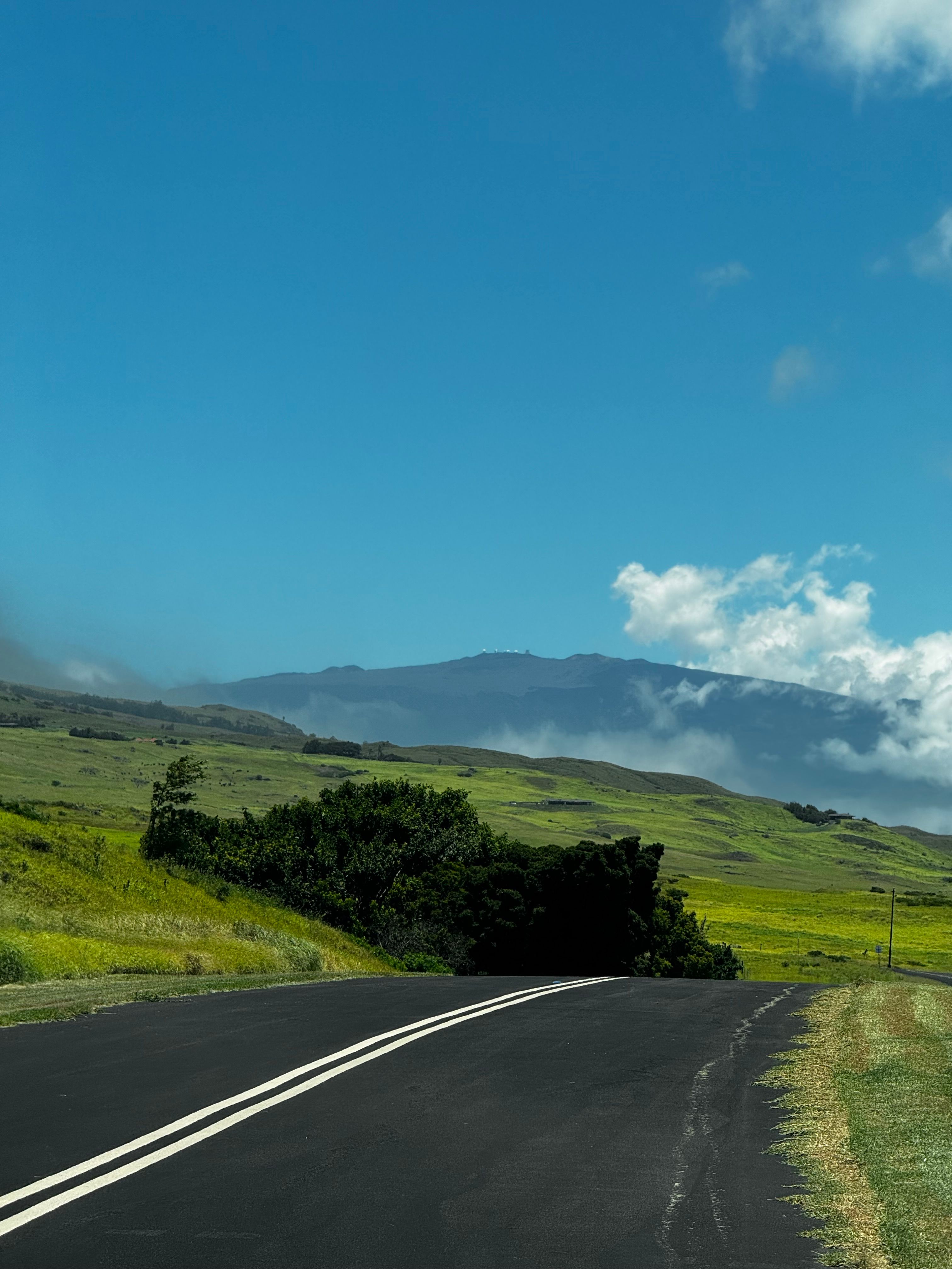  695 Ualani Pl, Kamuela, HI, 96743 - 物件實景