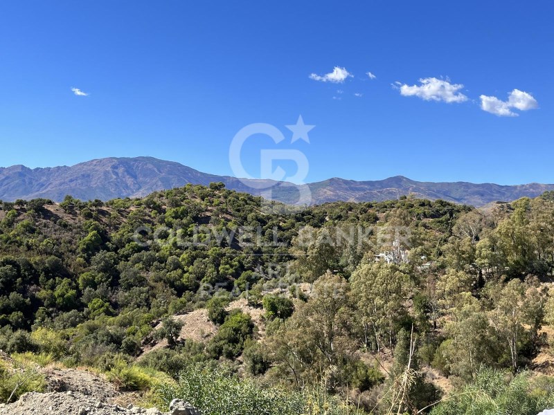 Estepona, Andalusia, ES, ,Residential,For Sale,1779639